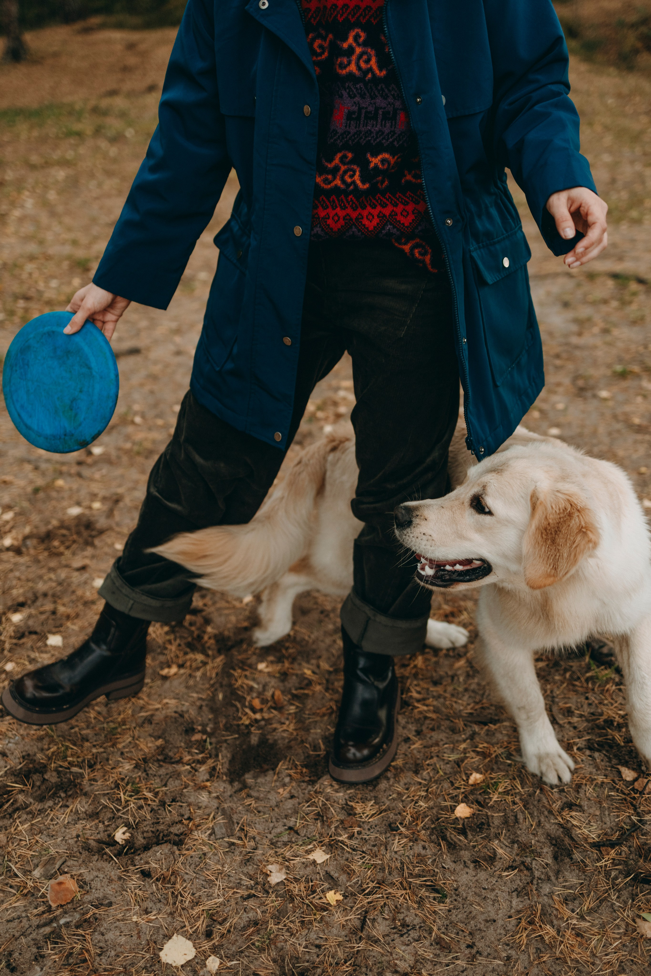 Прогулка Насти с Арчи и Арагоном. Фотограф-анималист в Санкт-Петеребурге Титова Алиса