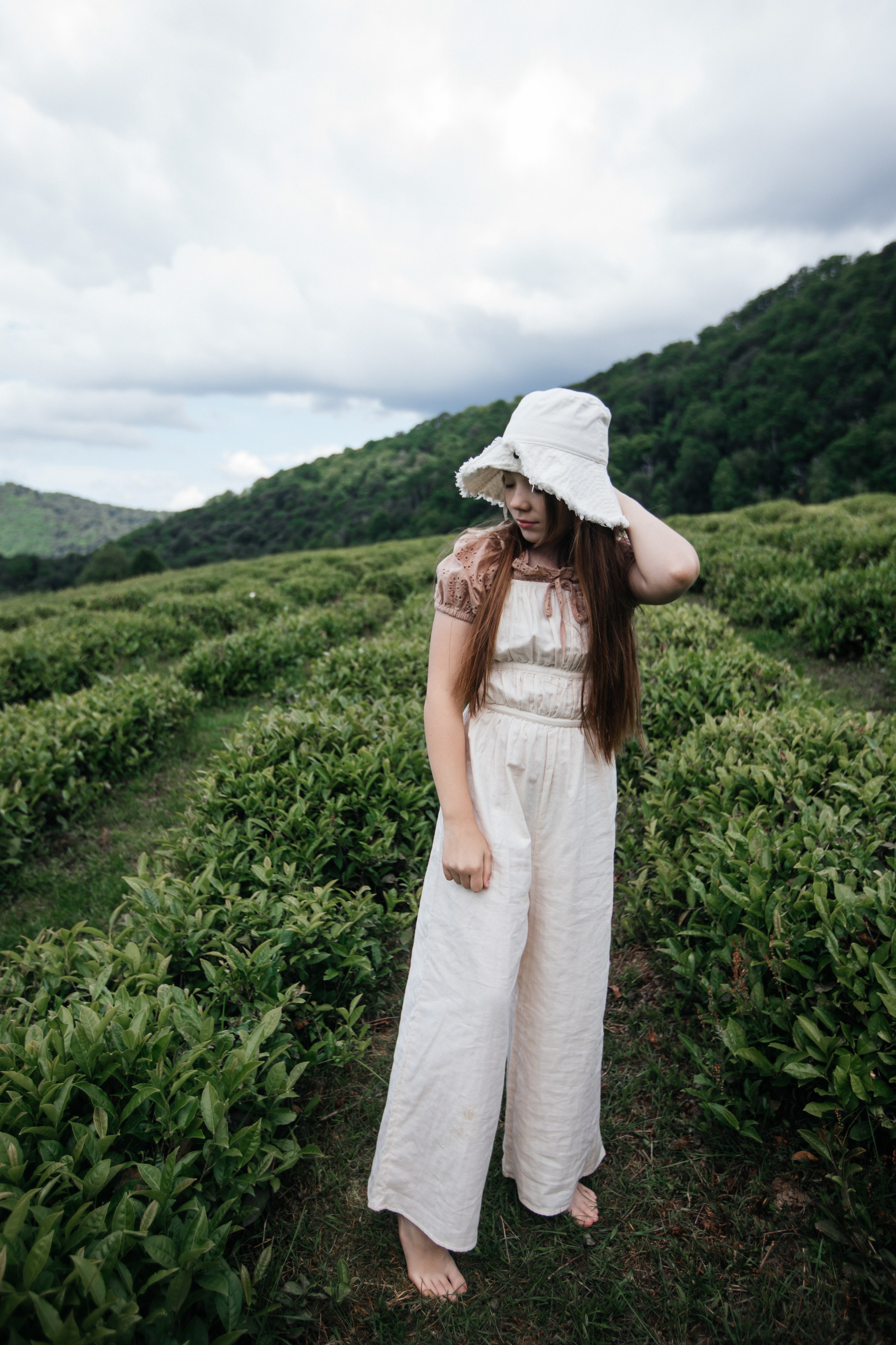 Tea plantation. Efimova Model Agency