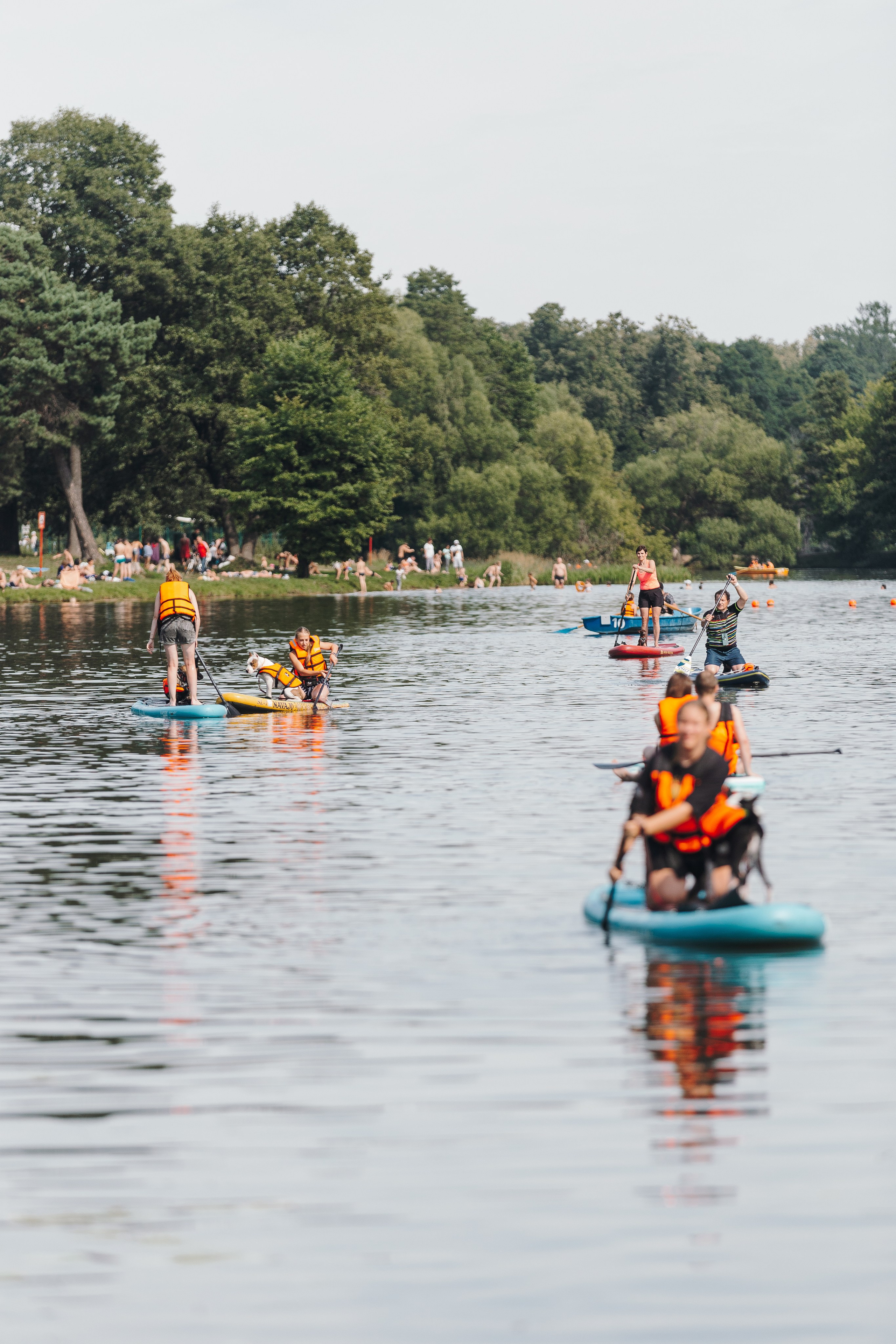 Petshop Sup day. Фотограф анималист Кристина Карпова, Москва