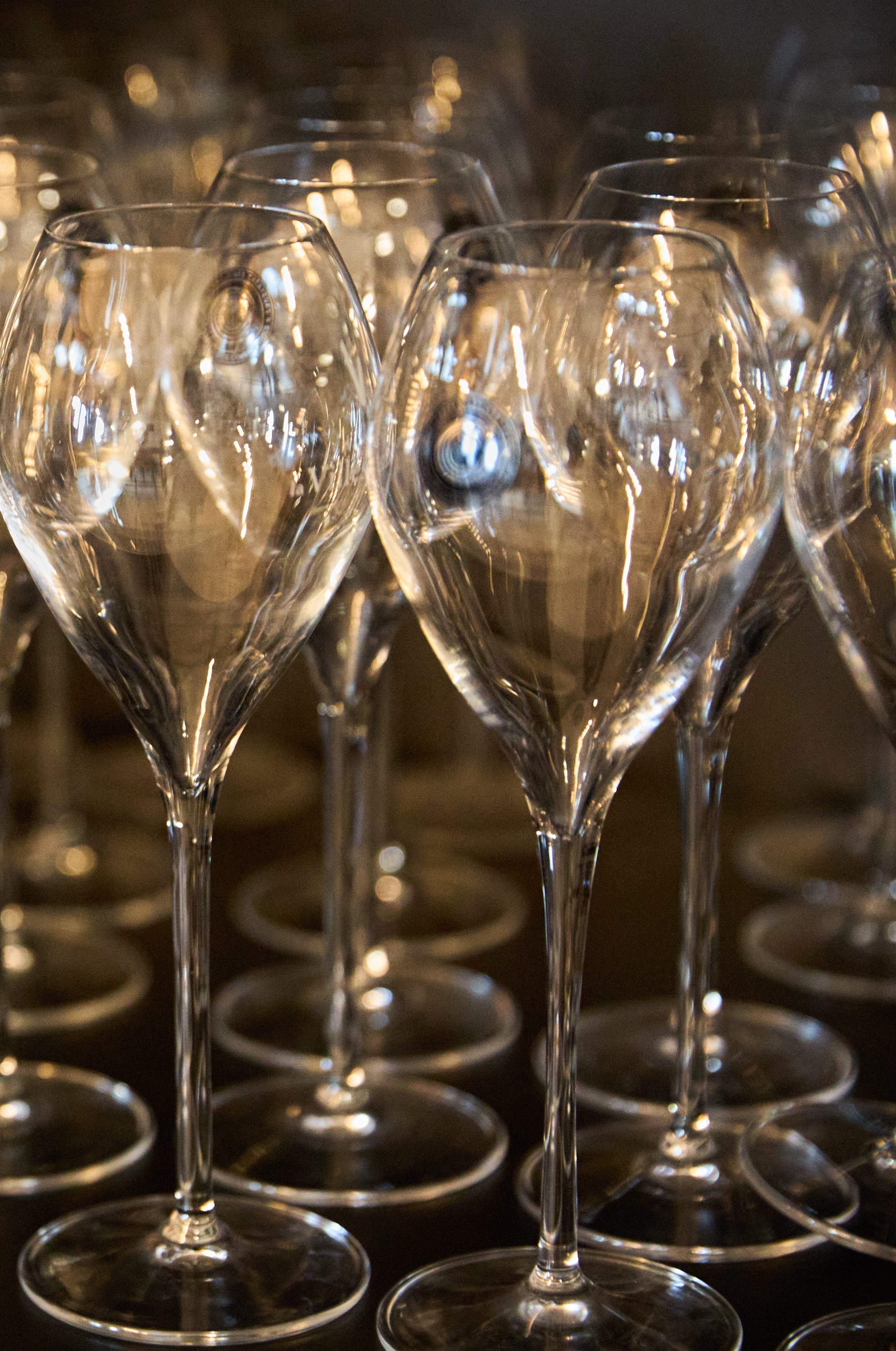 Фотосессия для бизнеса. Профессиональный фотограф Виктория Александрова