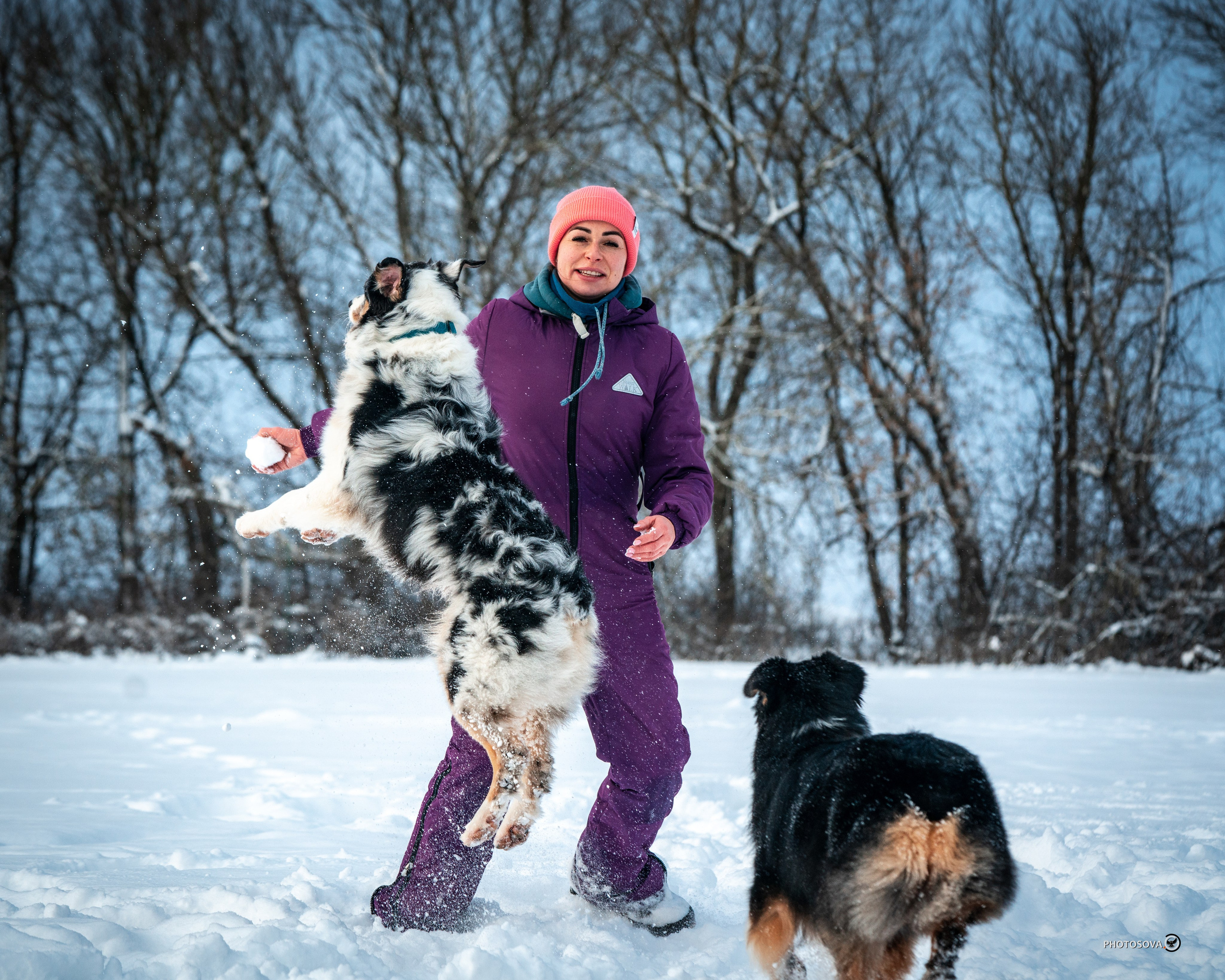 ФОТОПАМЯТЬ ВАШИХ ЭМОЦИЙ. Фотограф-анималист, семейный фотограф в Москве и Подмосковье. Фотосъёмка кинологических дисциплин