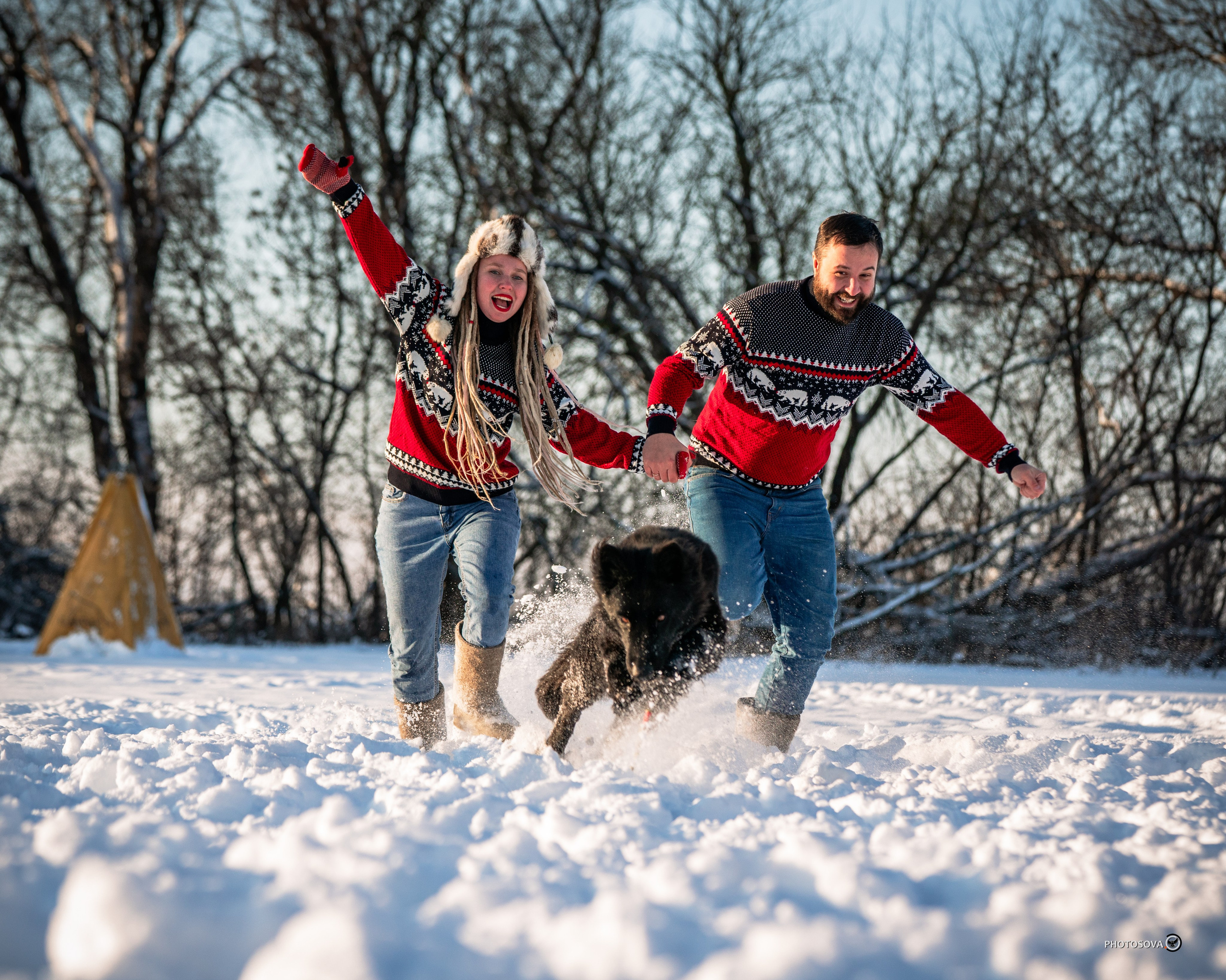 ФОТОПАМЯТЬ ВАШИХ ЭМОЦИЙ. Фотограф-анималист, семейный фотограф в Москве и Подмосковье. Фотосъёмка кинологических дисциплин