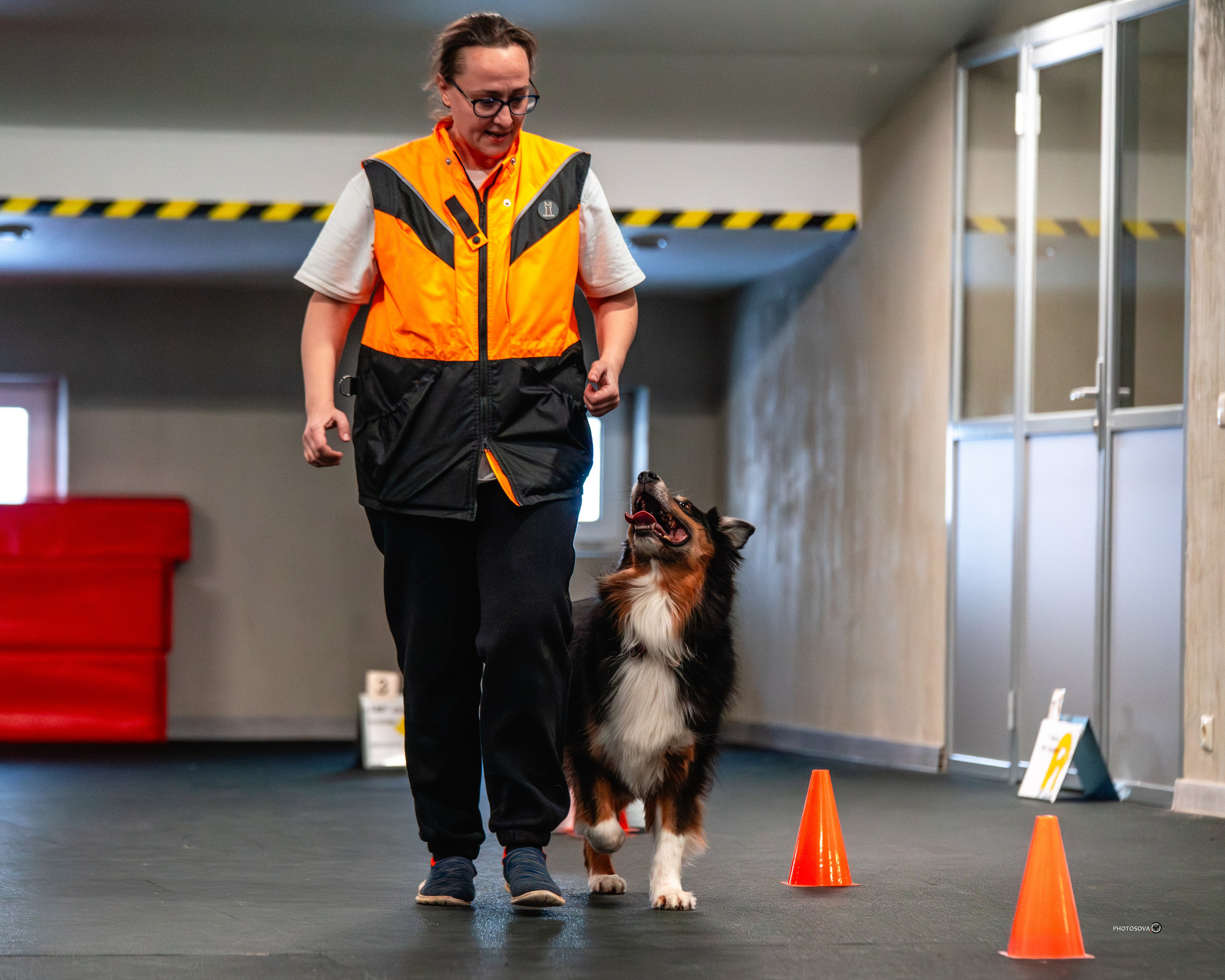 ТЫ И Я (соревнования по ралли-обидиенс). Фотограф-анималист, семейный фотограф в Москве и Подмосковье. Фотосъёмка кинологических дисциплин