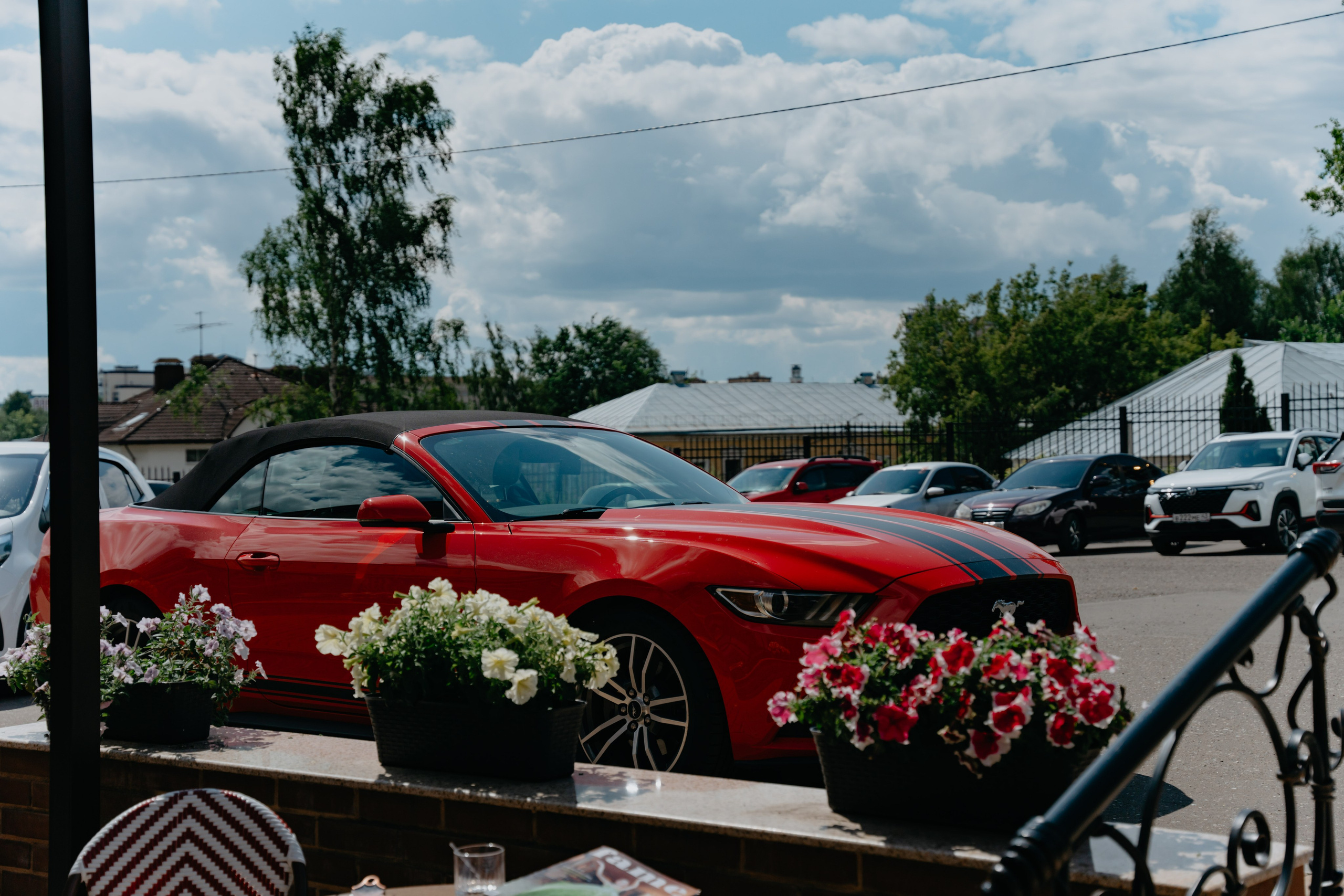 МК от Вице президента Федерации пицца акробатики Александра Богданова