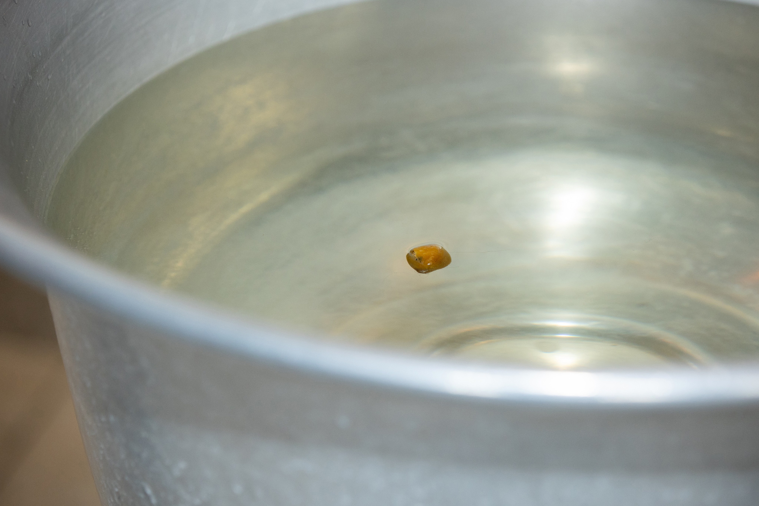 Крестины. Владислав Волков | Фотография и видеосъемка в Воронеже