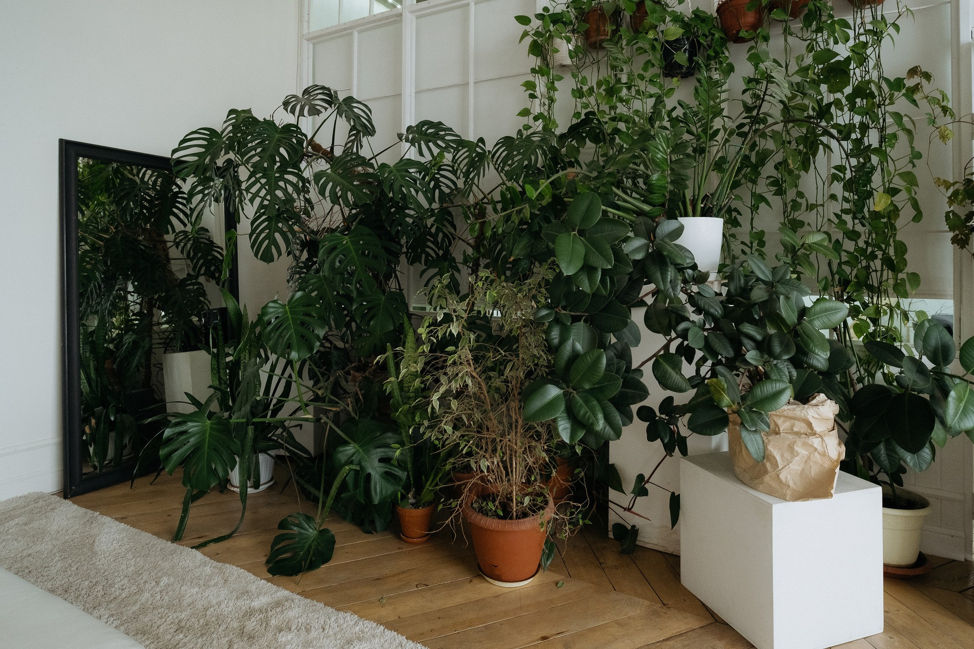 Зал ДАЧА. Детский семейный фотограф Краснодар