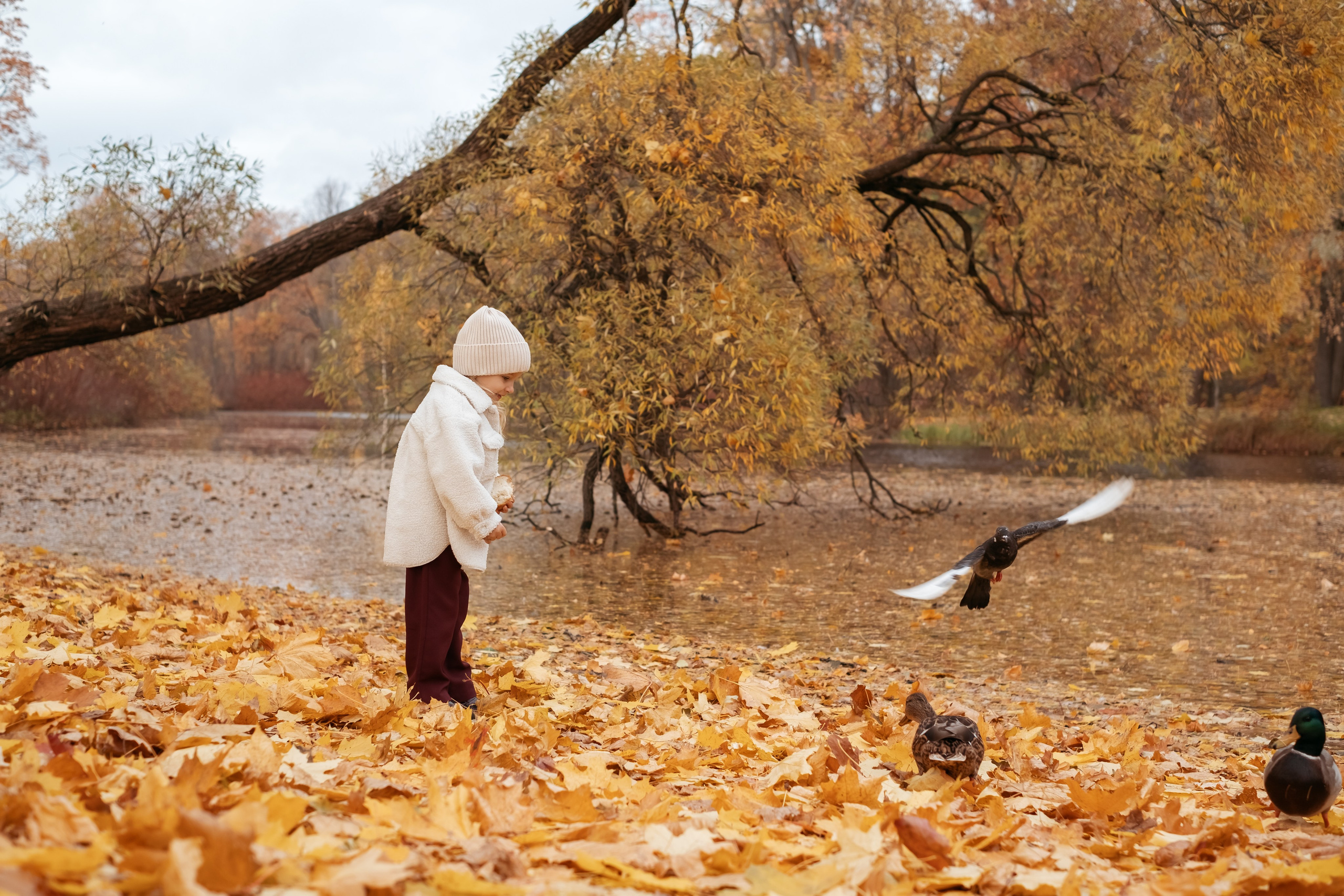 Прогулка в парке. Семейный и детский фотограф в Мелитополе /Наталья Зацеркляная