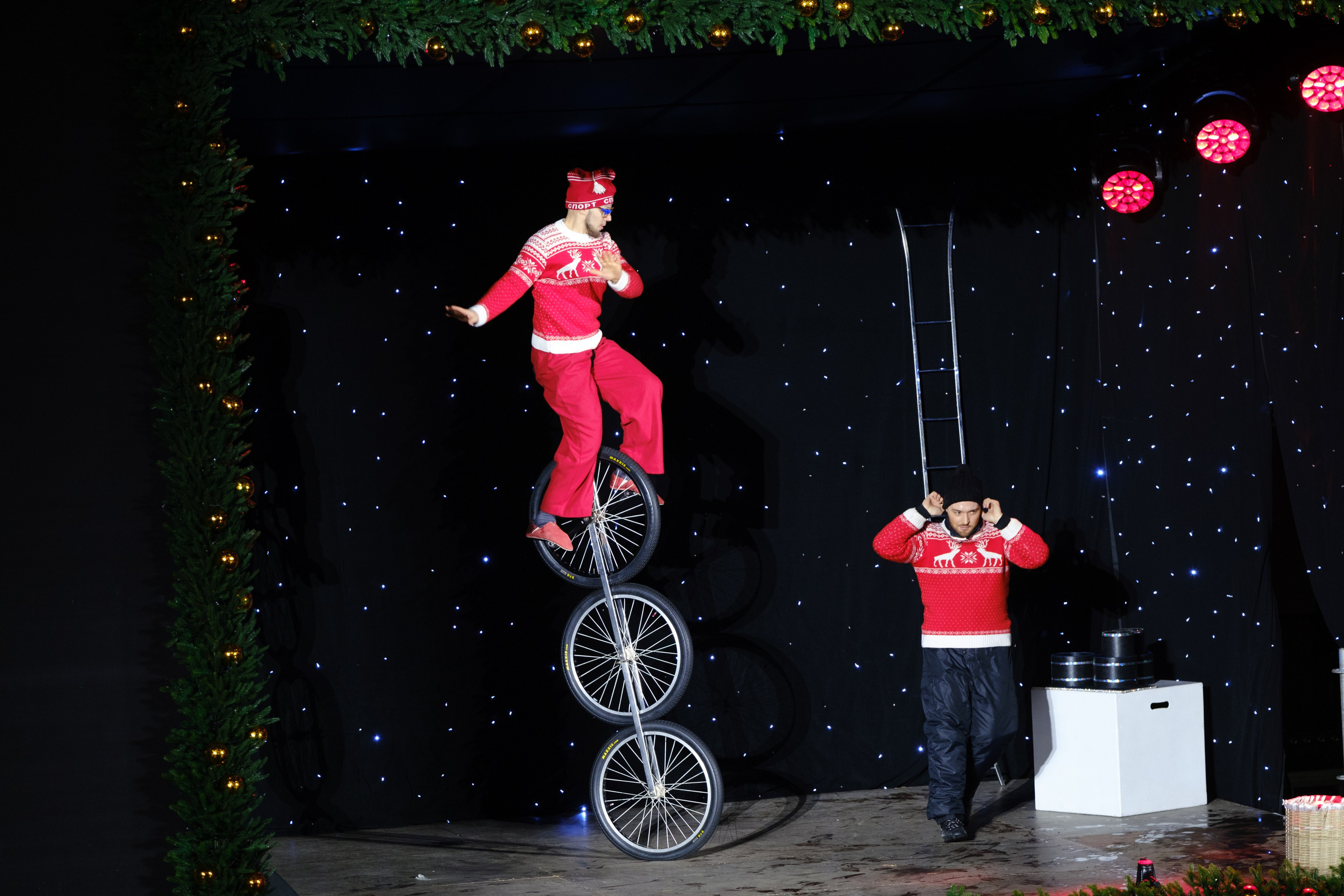 Новогодний репортаж из парка «Новый Херсонес» | Фотограф Илья Желдак. Профессиональная фотосъемка в Крыму. Натуральные эмоции и живые кадры. Забронируйте дату прямо сейчас!