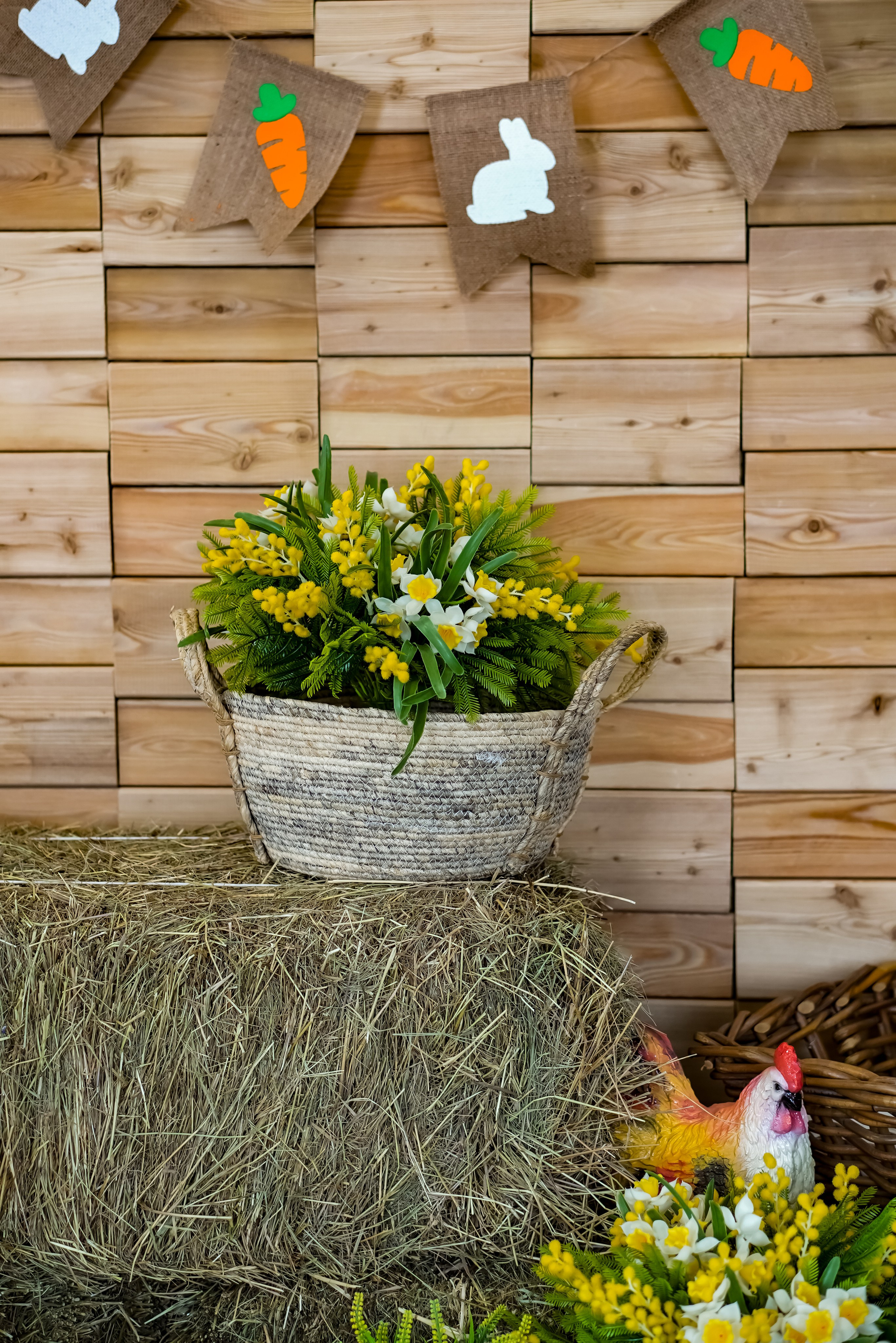 Зал Life фотостудия Импульс. Фотостудия в Саратове. Фотограф в Саратове