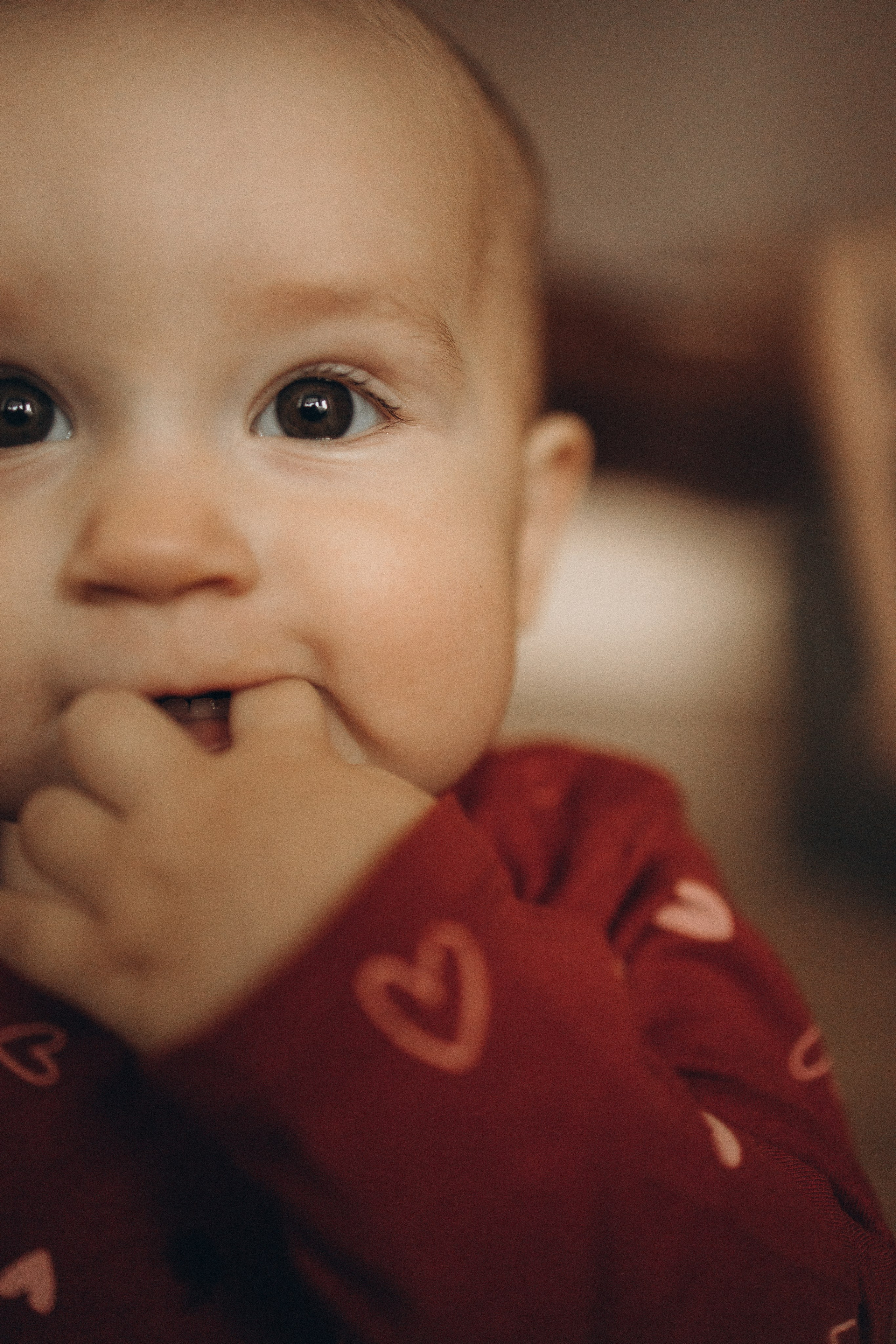 Семейные. Семейный фотограф Новосибирск Фотограф на выписку Новосибирск