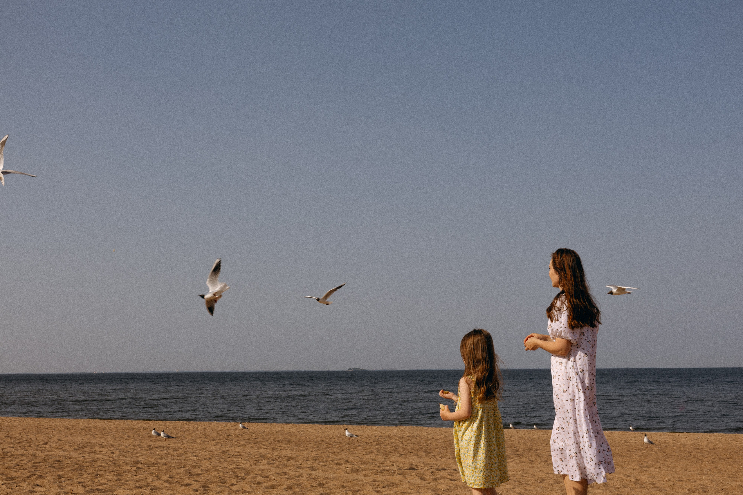 Ира, Влада и Яна. Свадебный фотограф Таня Караисаева