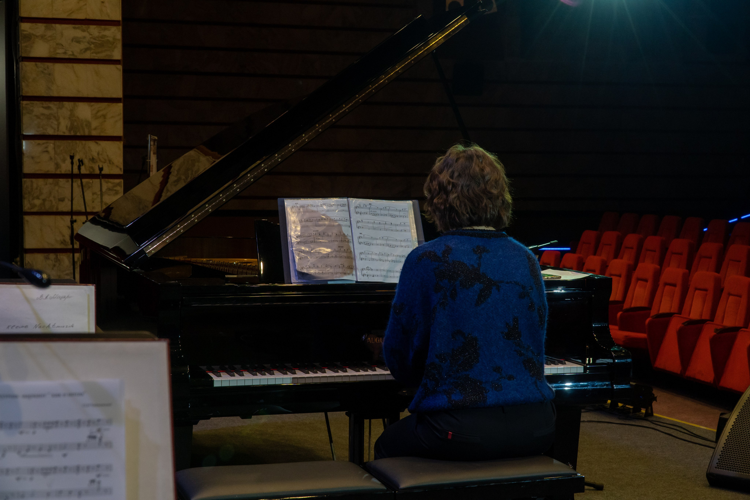 Съёмка концерта Домисольки с оркестром. «Студия DRONAVT`s» — видеосъёмка и фотография г. Москва