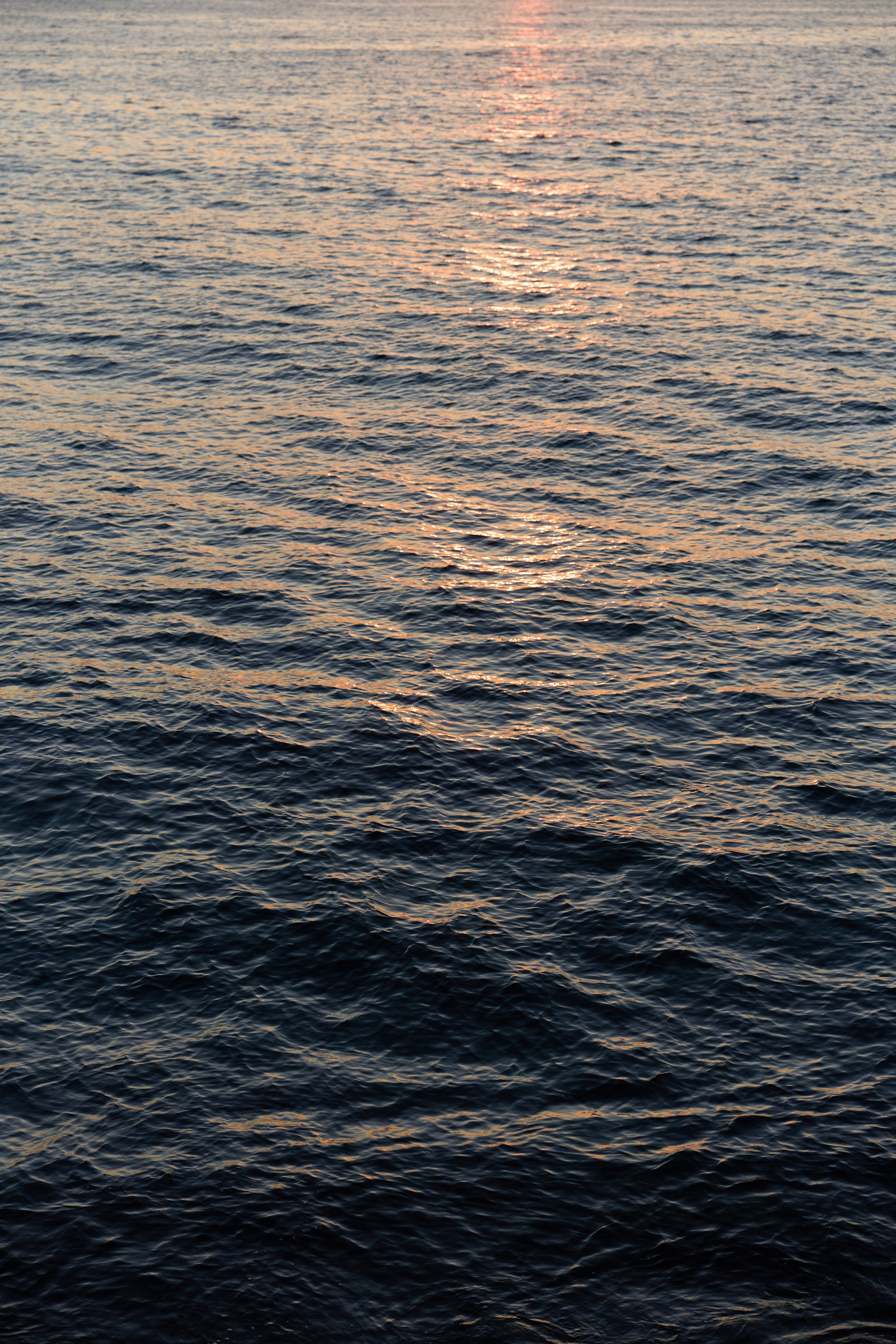 Стамбул 24. Фотограф Москва, Дима Пеллер