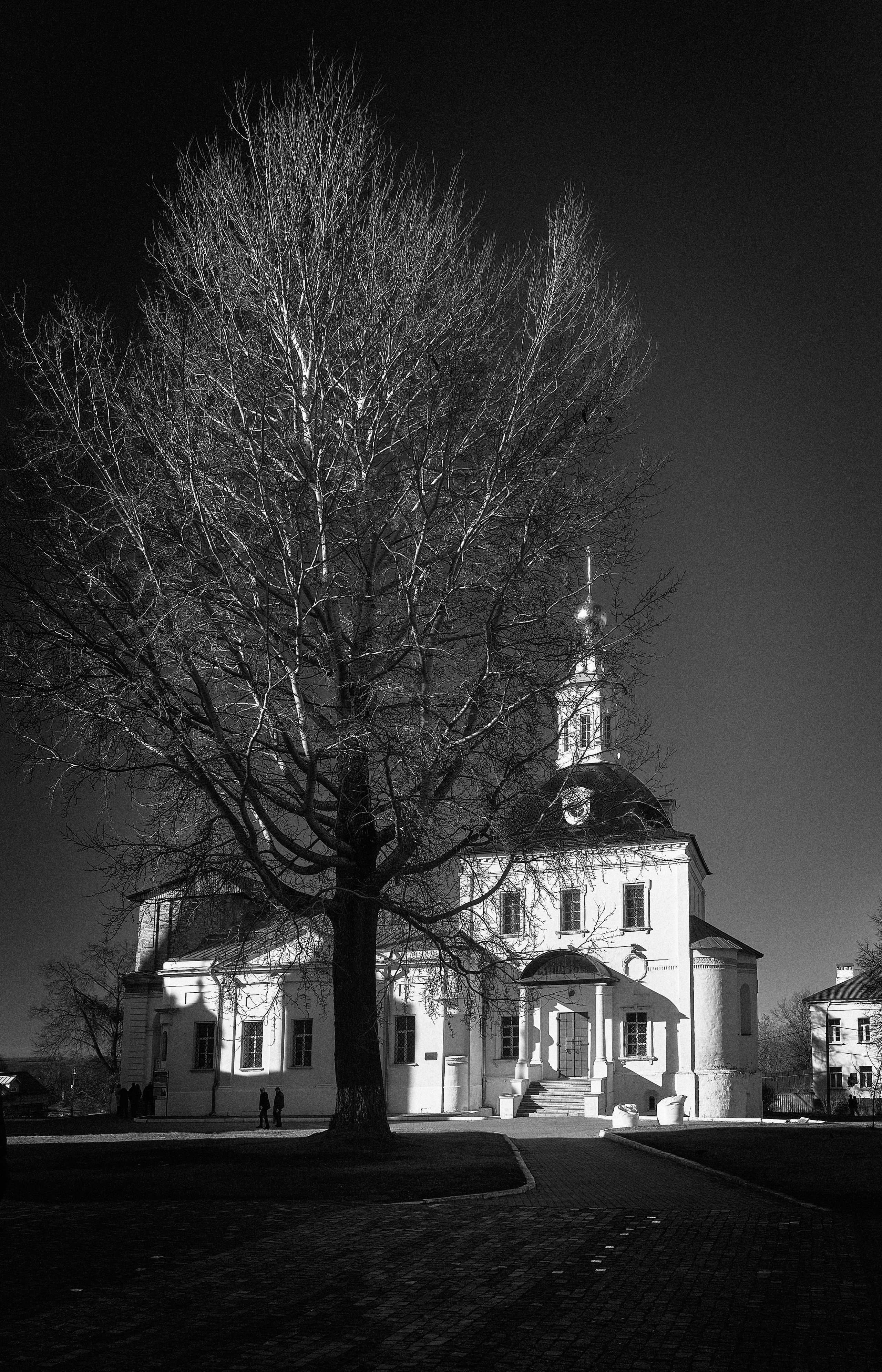 Kolomna / march 2025. Aleksandr Kobtsev