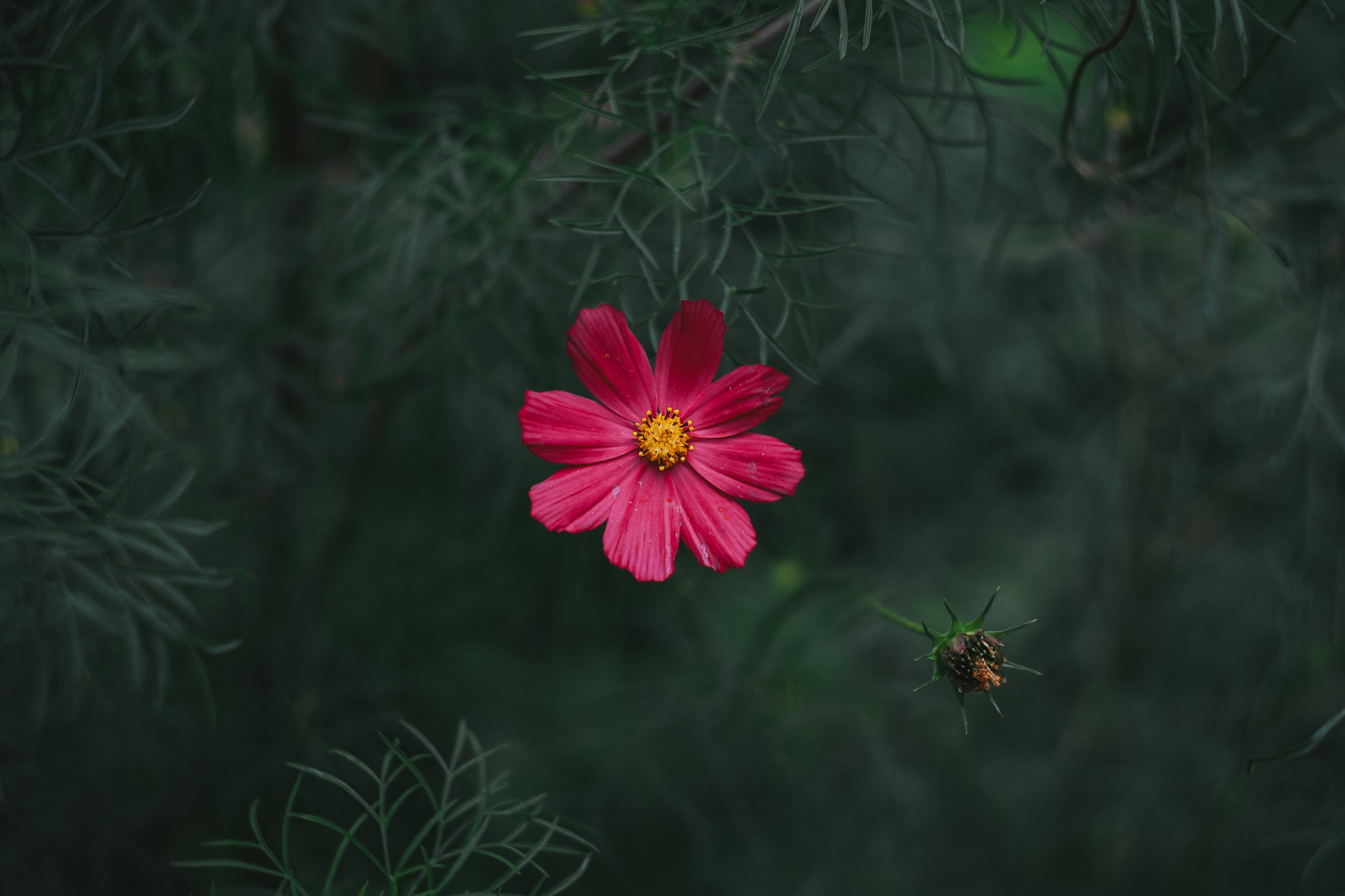 Т Е П Л Ы Й — З Е Л Е Н Ы Й. — Digital Noise —