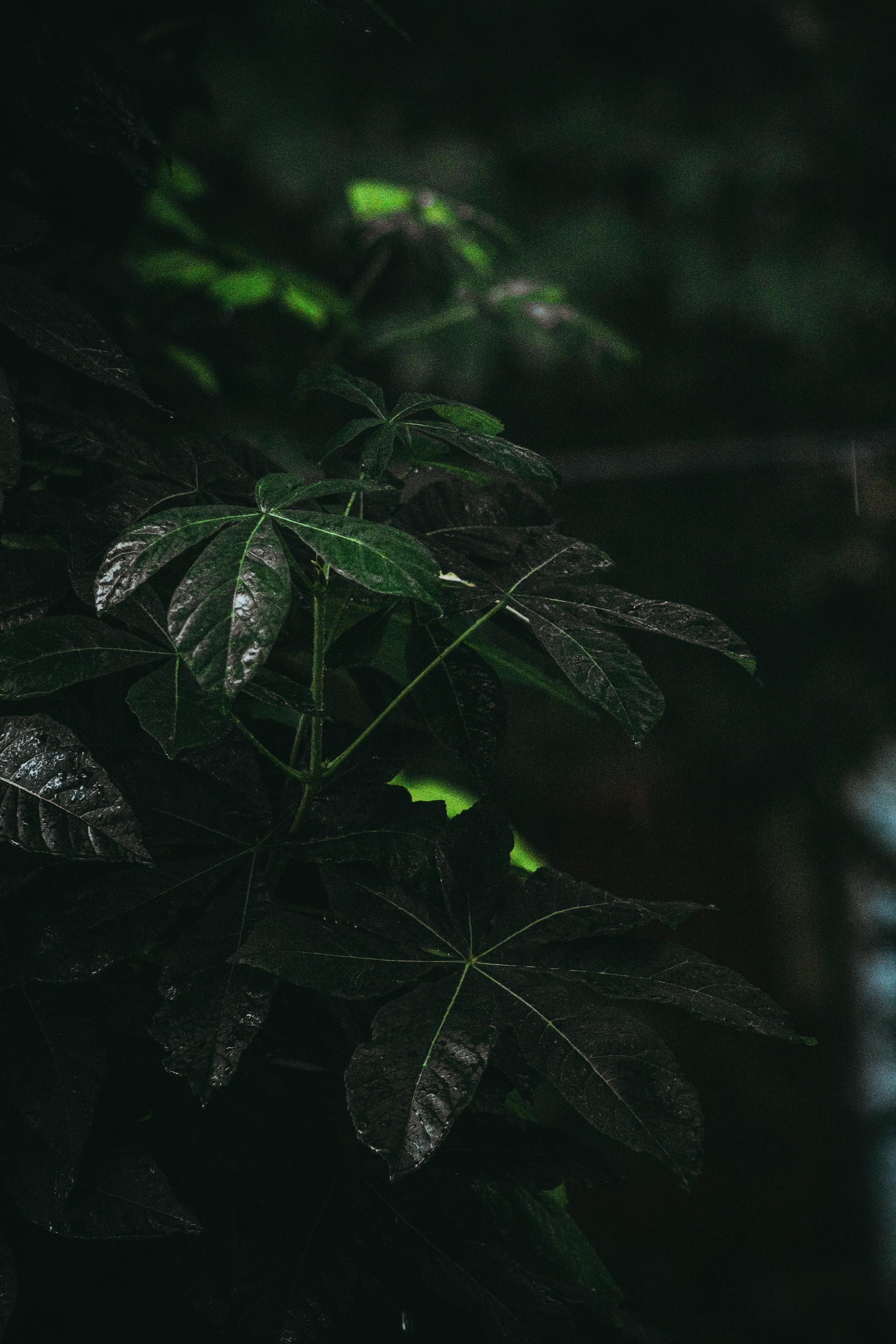 Т Е П Л Ы Й — З Е Л Е Н Ы Й. — Digital Noise —