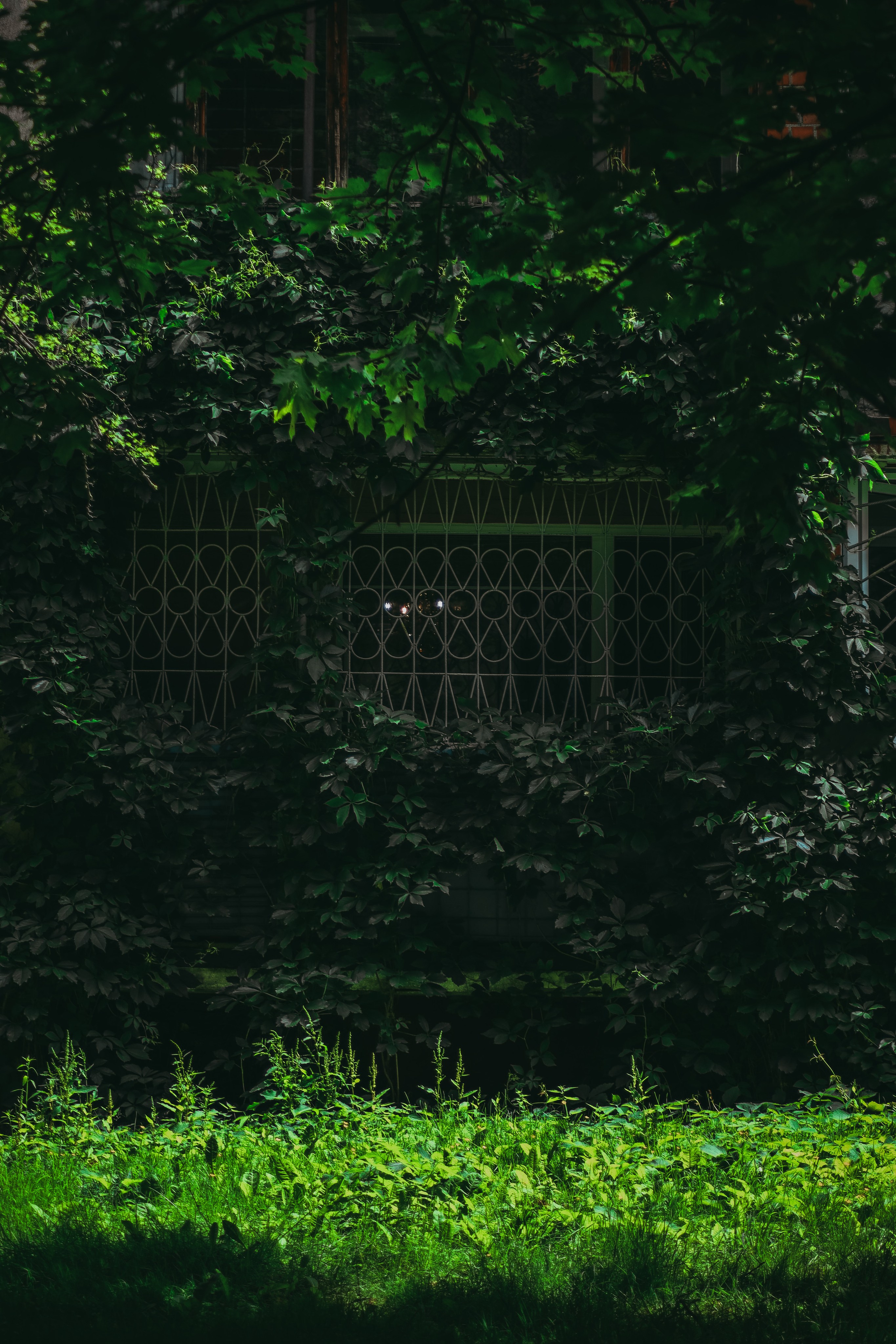 Т Е П Л Ы Й — З Е Л Е Н Ы Й. — Digital Noise —