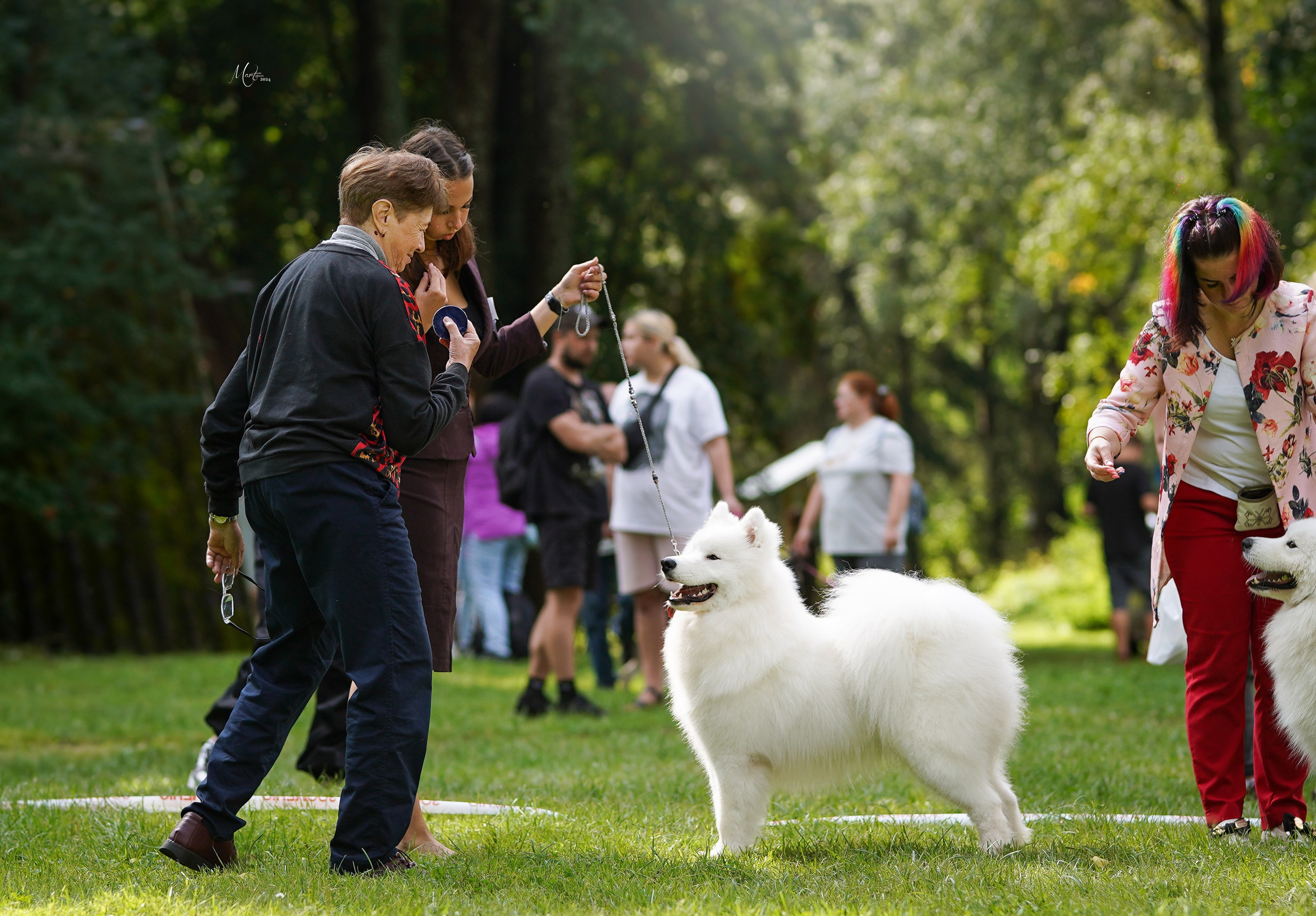 Выставки 2024. Фотограф-анималист в Санкт-Петербурге Яна Мартынова