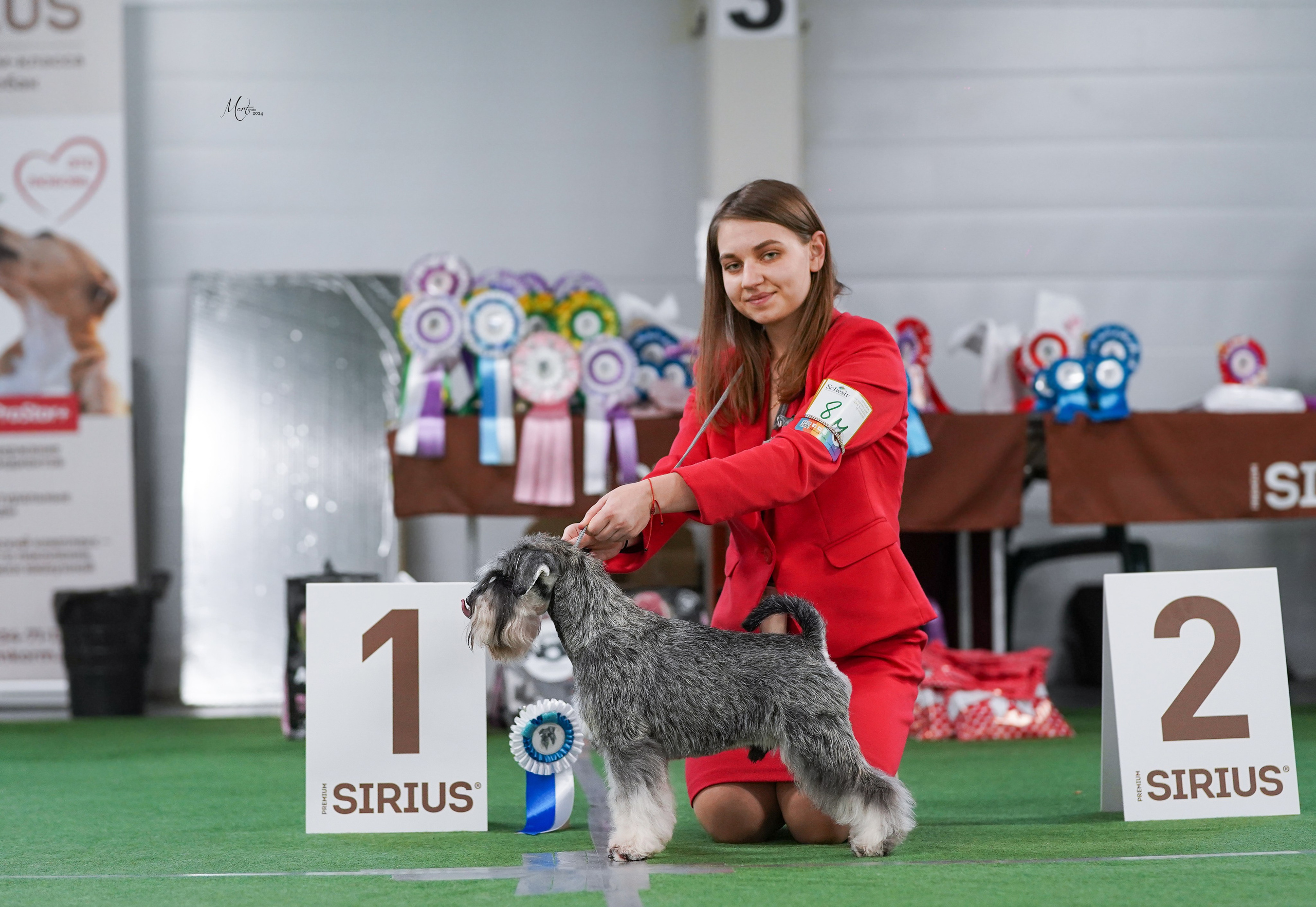 Выставки 2024. Фотограф-анималист в Санкт-Петербурге Яна Мартынова
