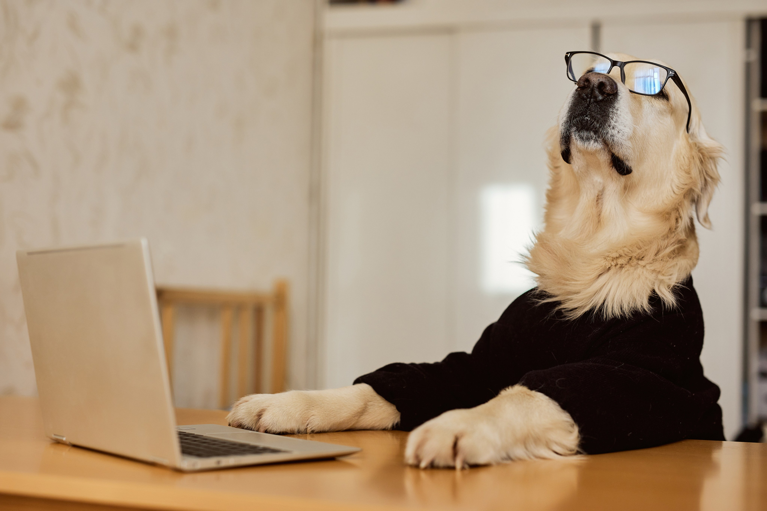 22. Фотограф Недорез Александр в Москве. Репортаж на ваших мероприятиях