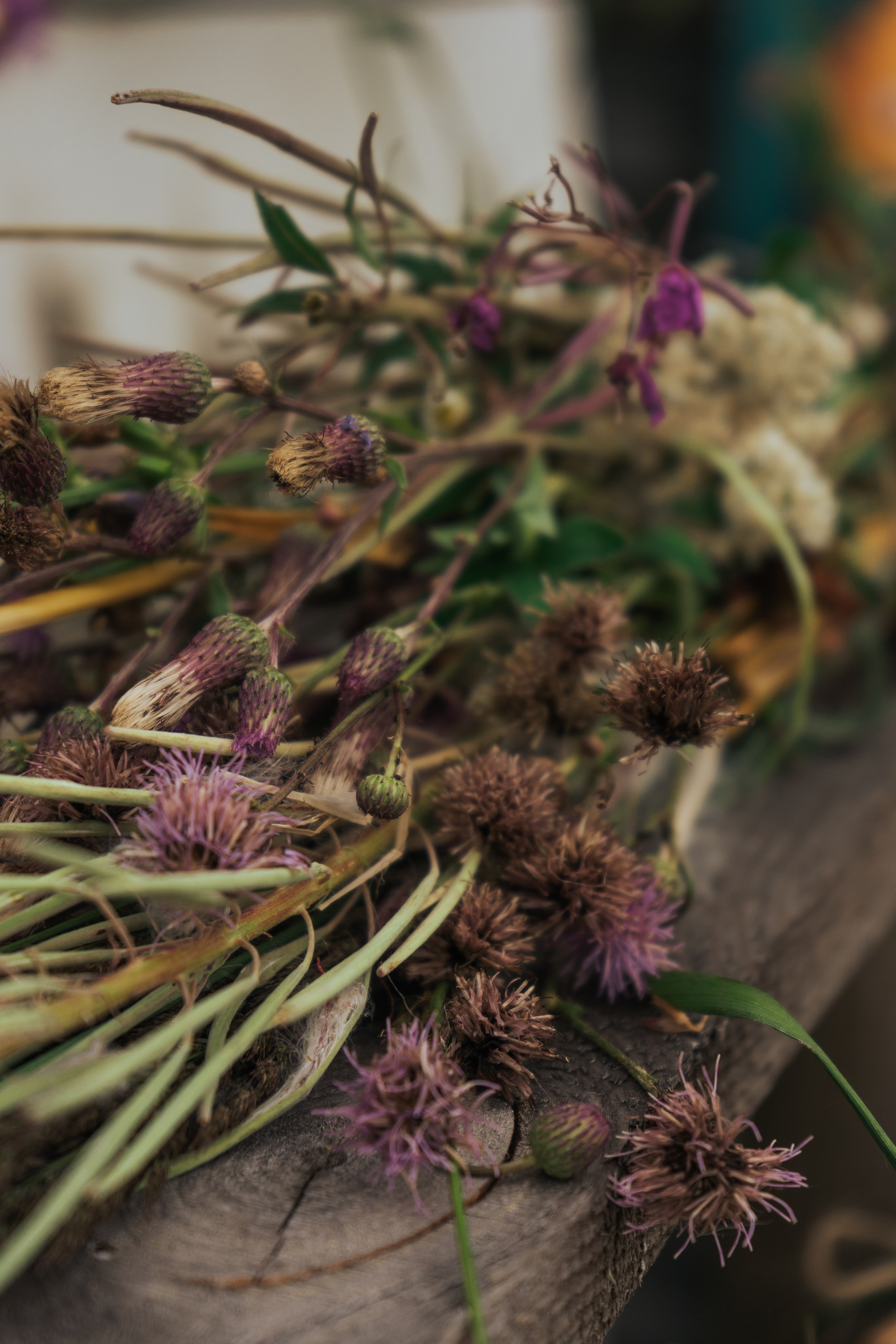 Ретрит от т-центра Псайторий 2024. Портретный фотограф Нижний Новгород