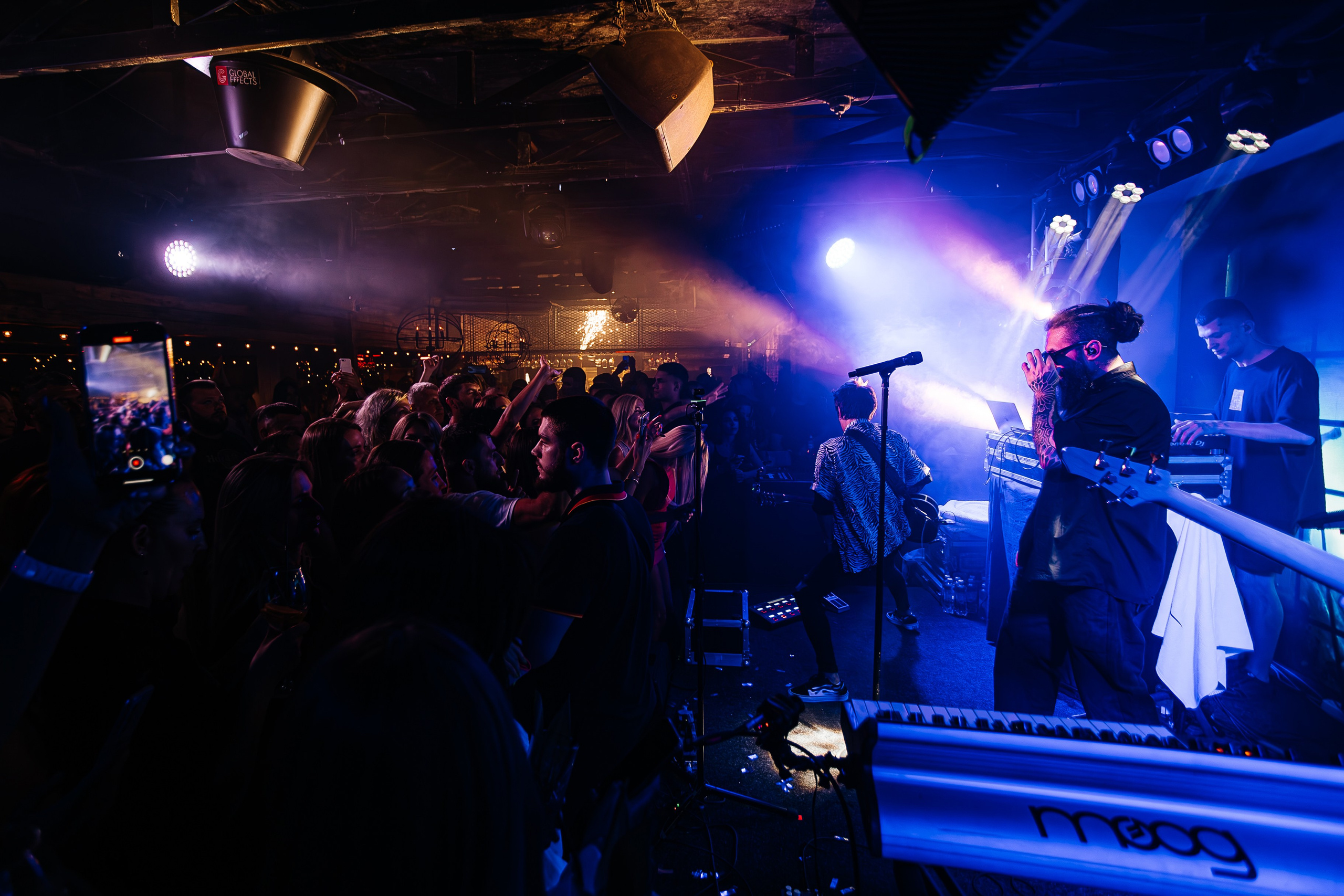 Бурито_Чайка_на_пляже_Ялта 23.08.2024. Аминов Руслан | Фотограф