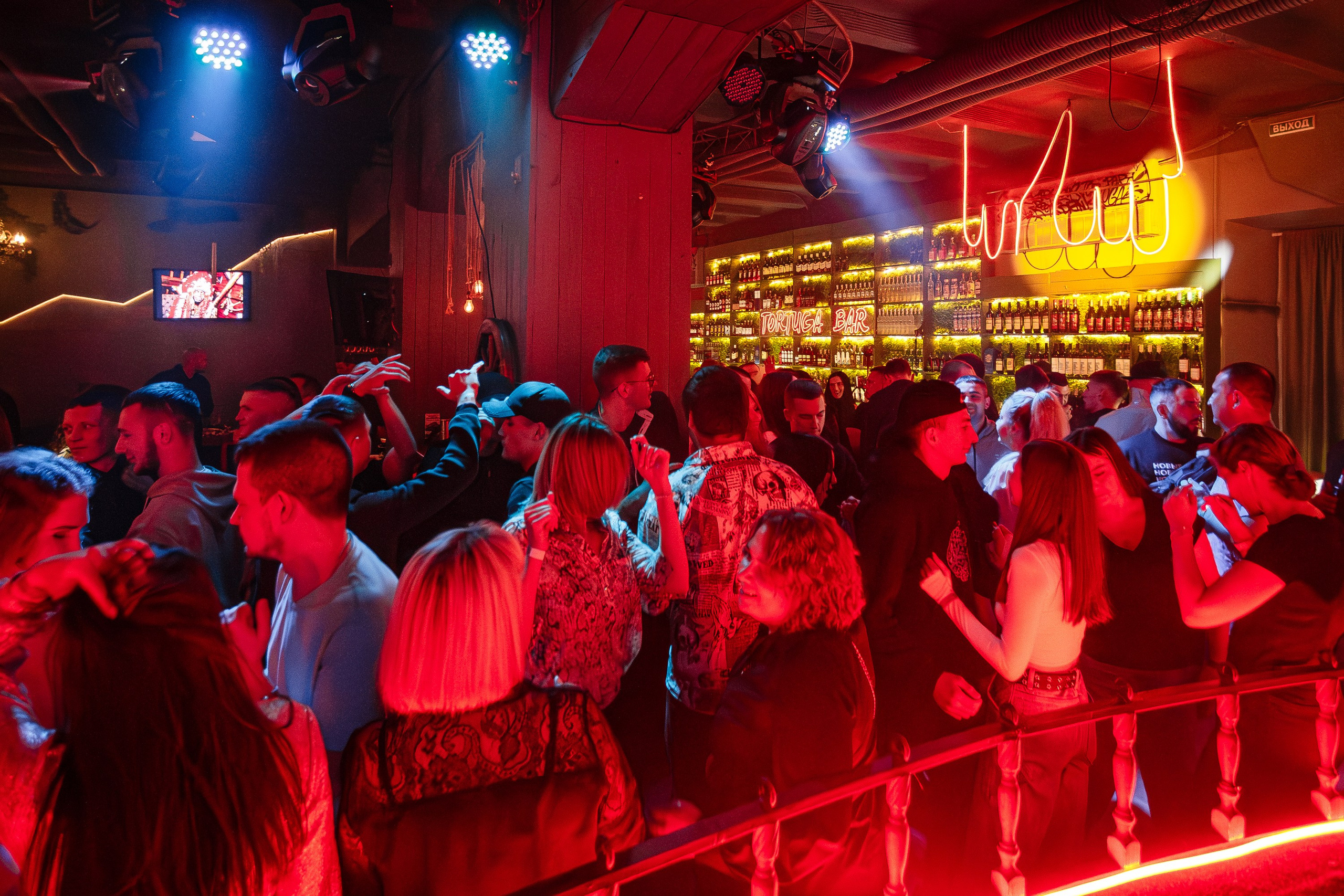 Tortuga_Lambriq_part.2_Симферополь_23.11.2024. Аминов Руслан | Фотограф