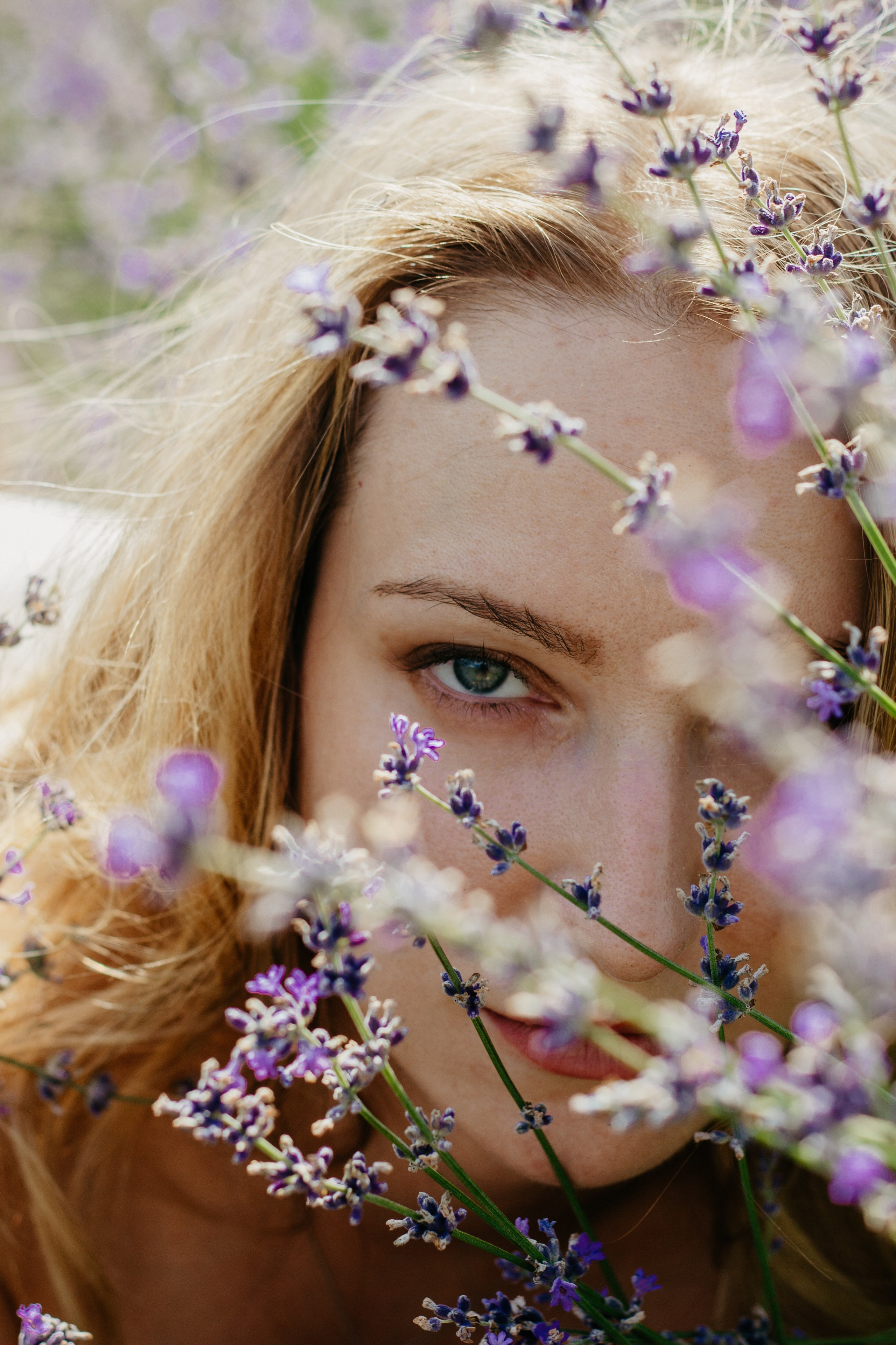 Лаванда. Главная