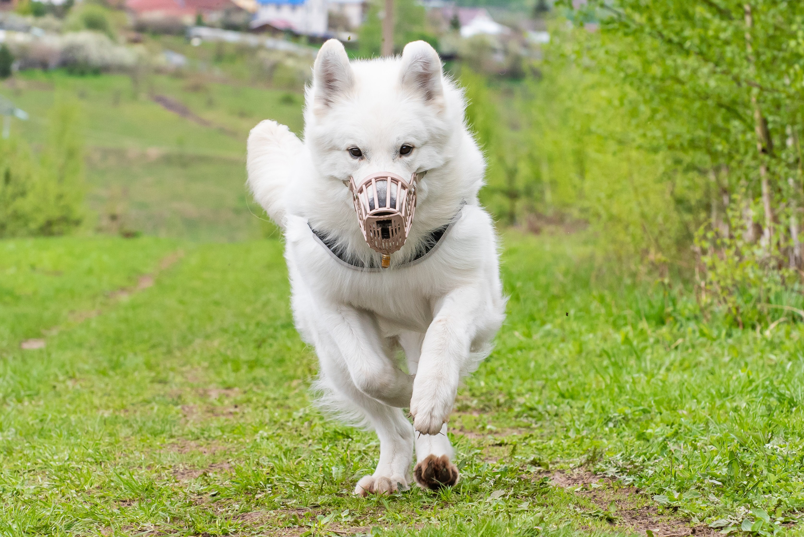 Фотографии с Курсинга. Фотограф Макс Огурцов в Нижнем Новгороде