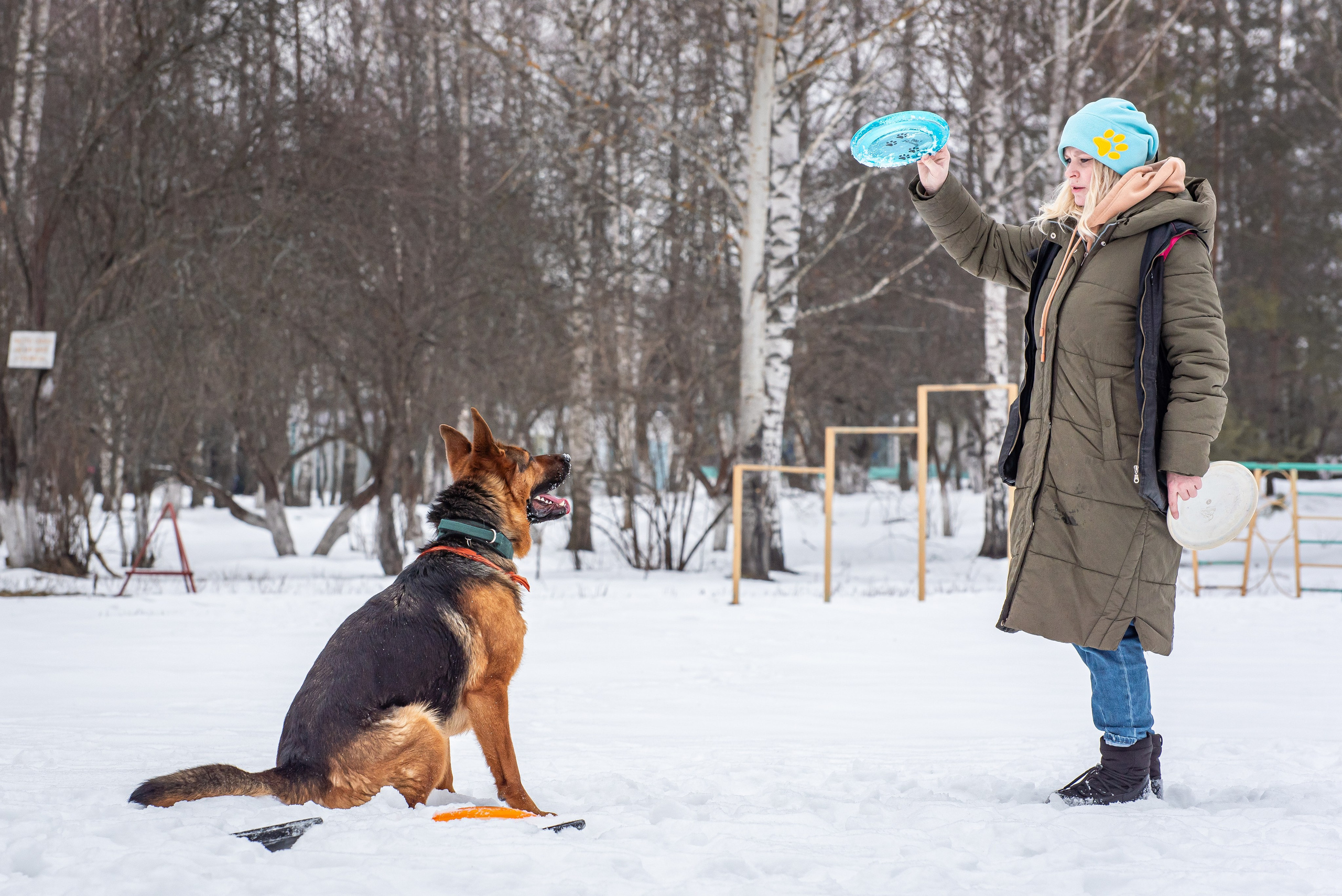 Фотосъёмка с собаками в Кинологическом лагере. Фотограф Макс Огурцов в Нижнем Новгороде