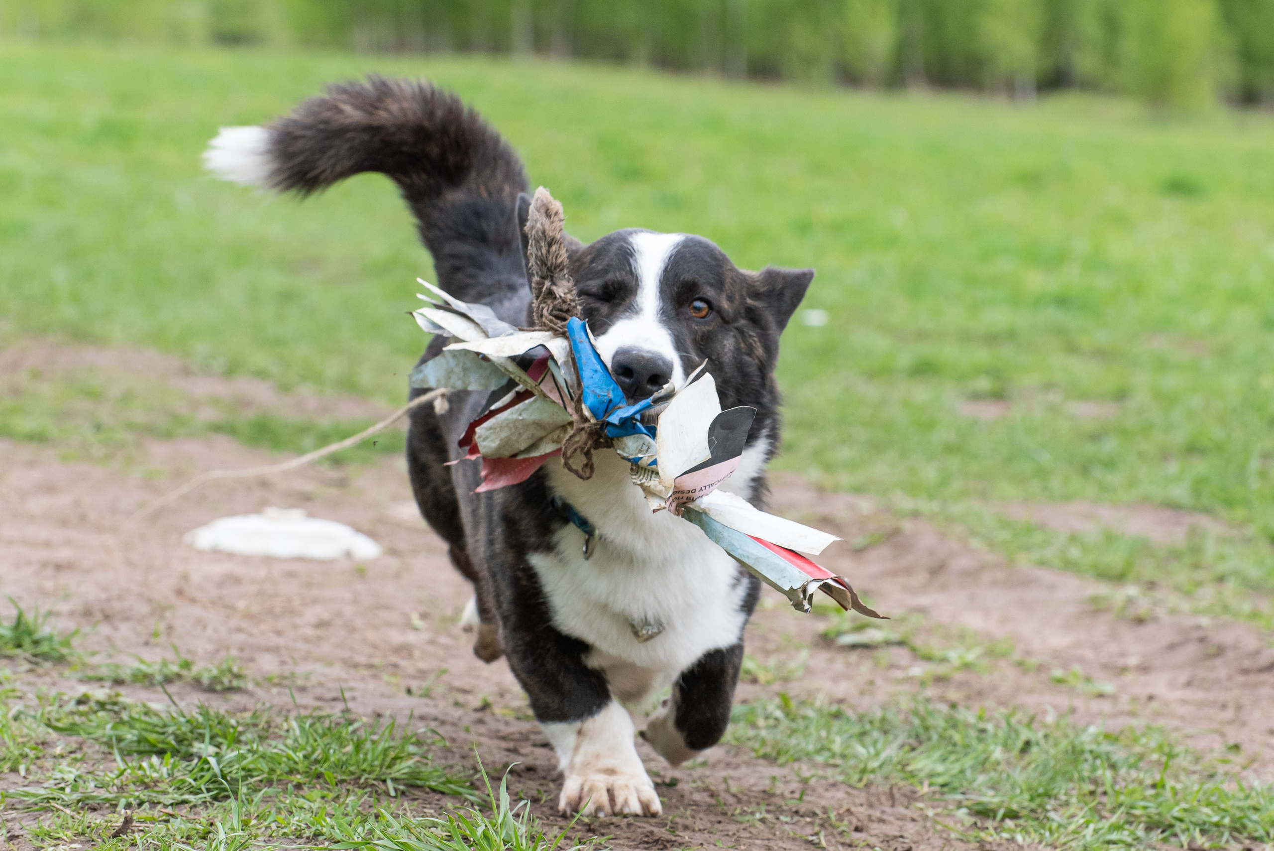 Фотографии с Курсинга. Фотограф Макс Огурцов в Нижнем Новгороде