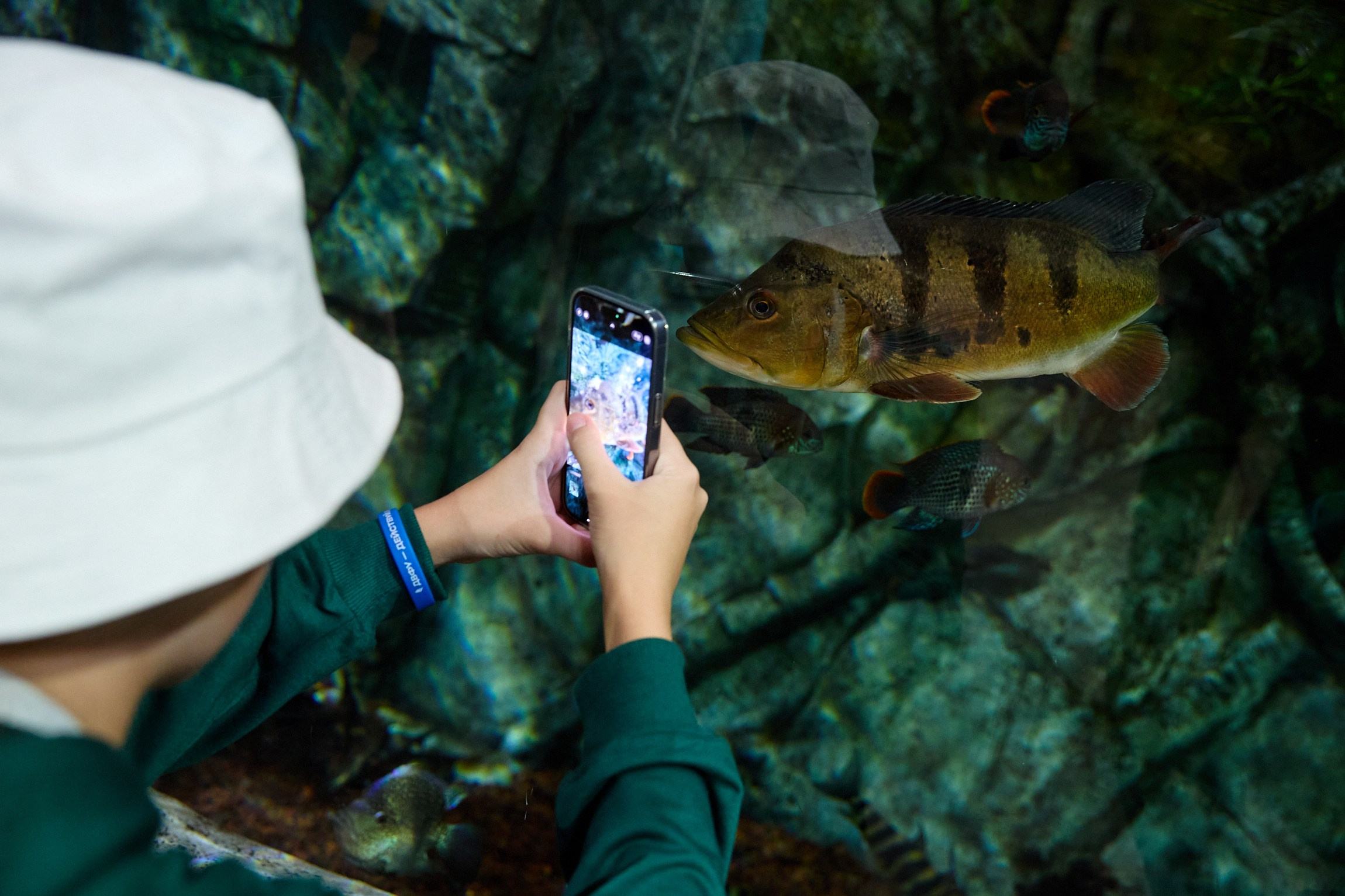 Фотограф репортаж Владивосток репортажная съёмка Приморский край фотосъёмка образование конференция форум
