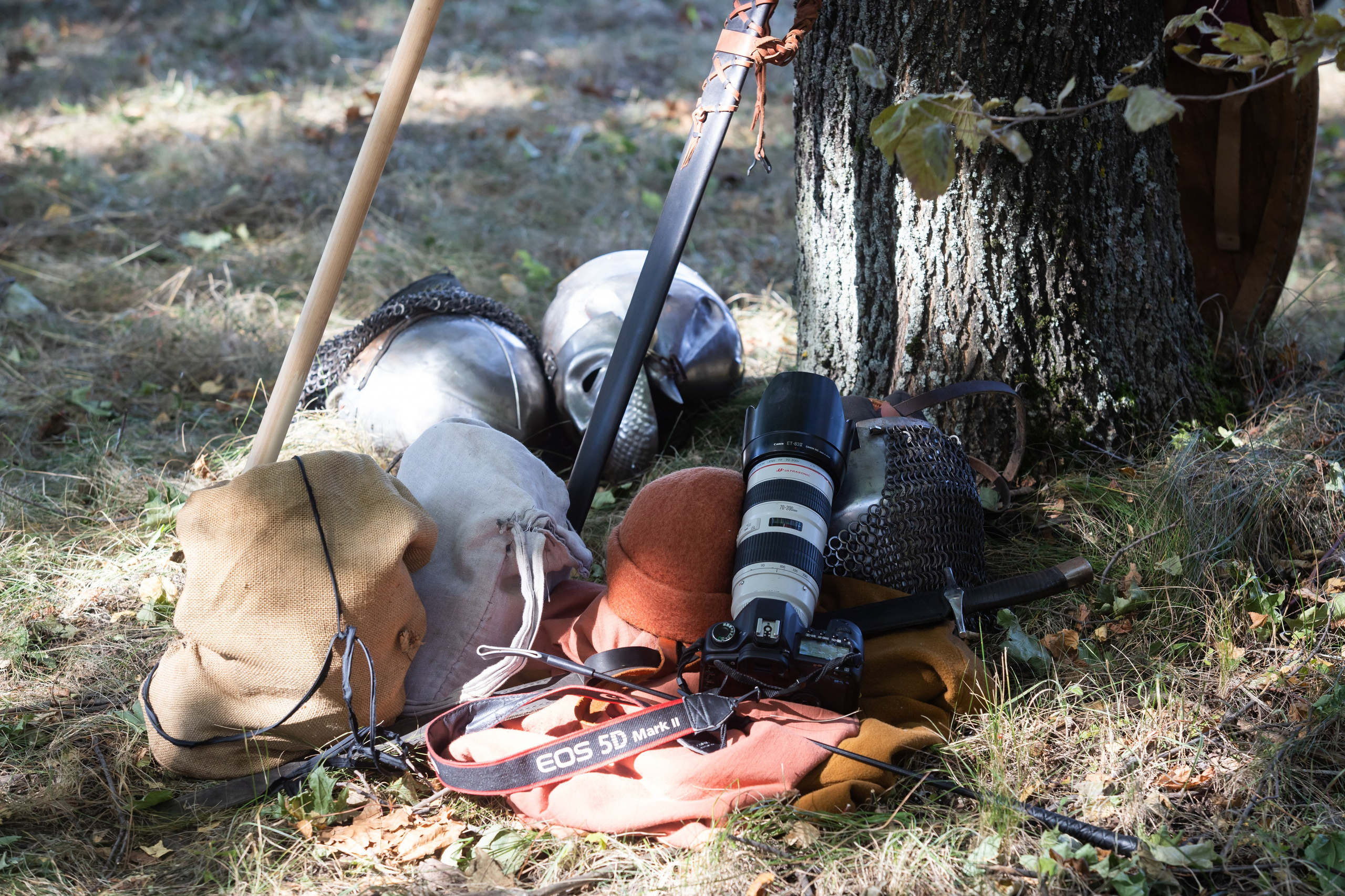 644-я годовщина Куликовской битвы (21 сентября 2024). Репортажный фотограф Алексей Пирязев