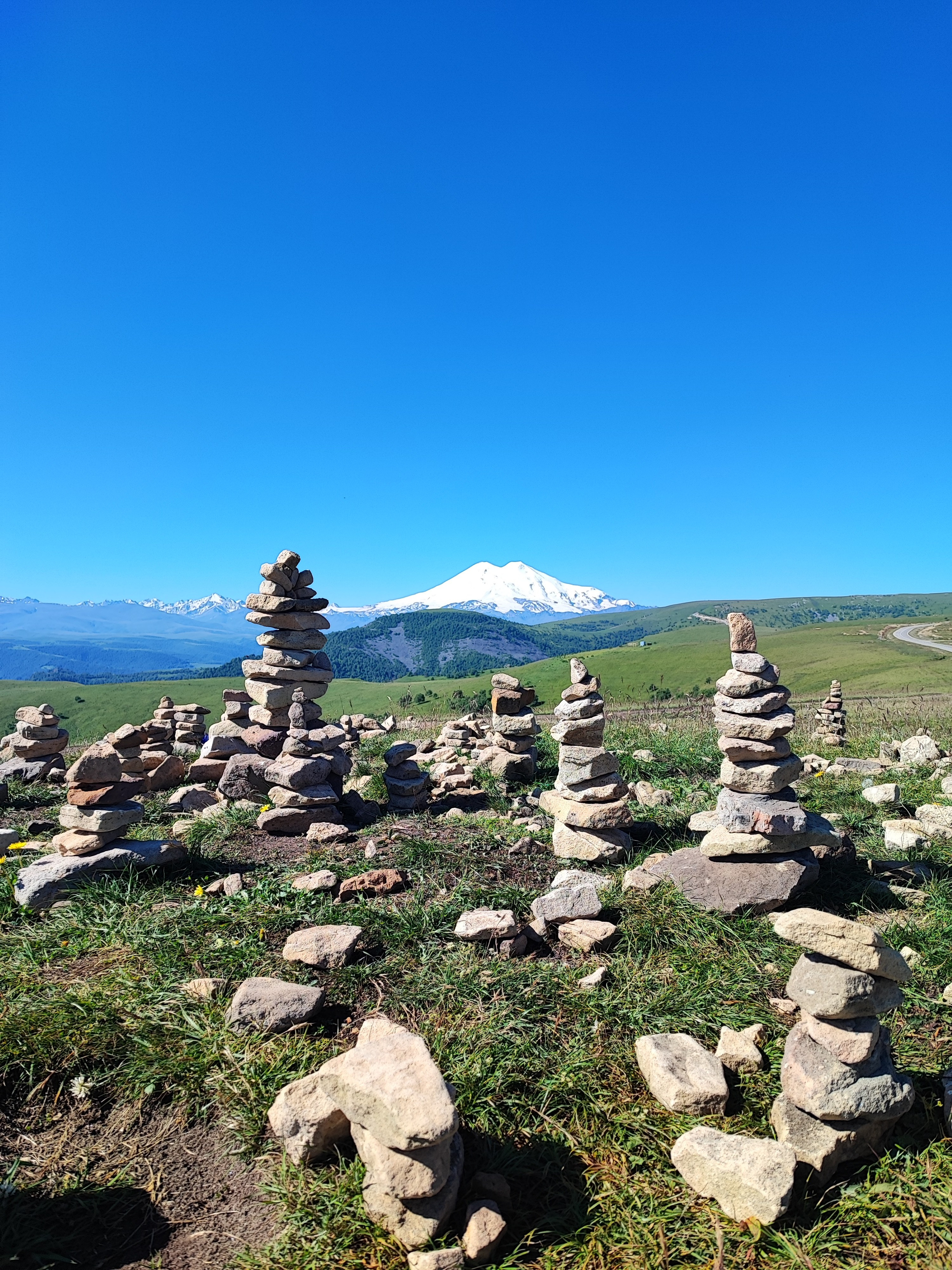 Намобилкус кавказский. Репортажный фотограф Алексей Пирязев