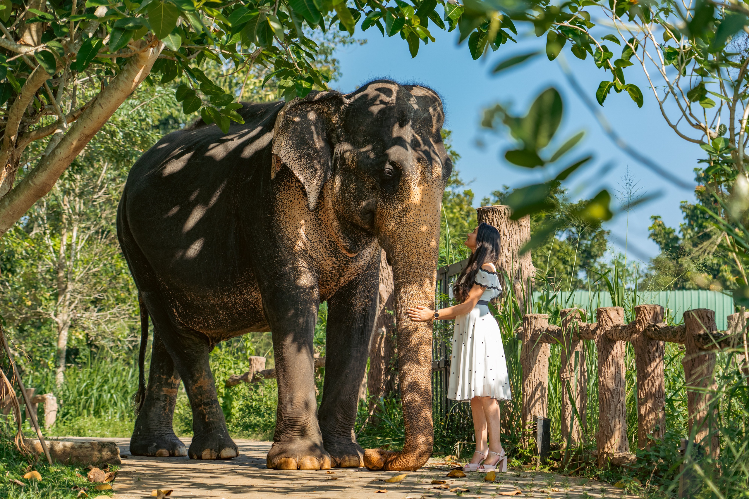 Promo content shooting for Ceylon Forward Tours