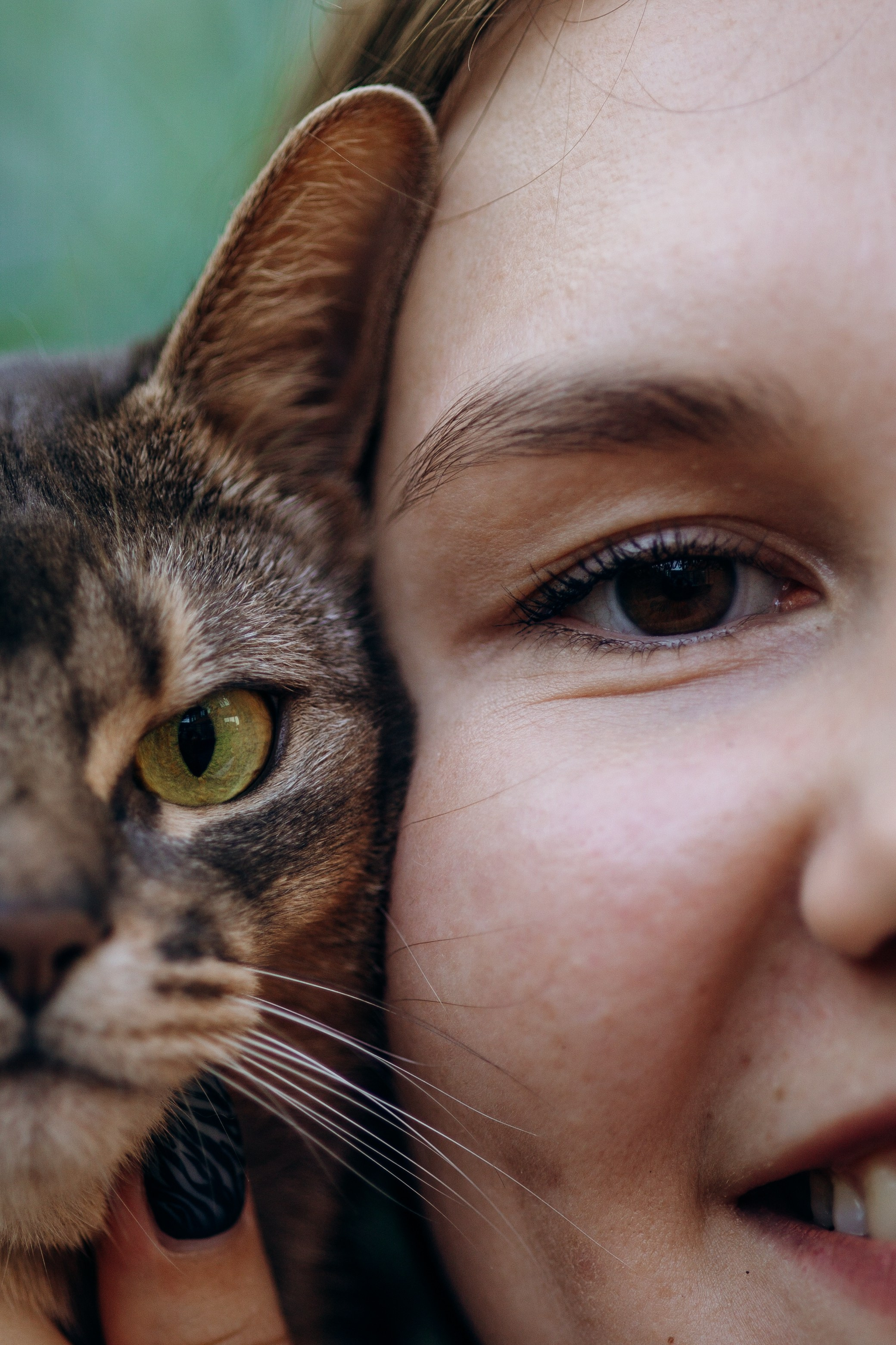 Циско и его семья. Фотограф — Анималист | Санкт-Петербург