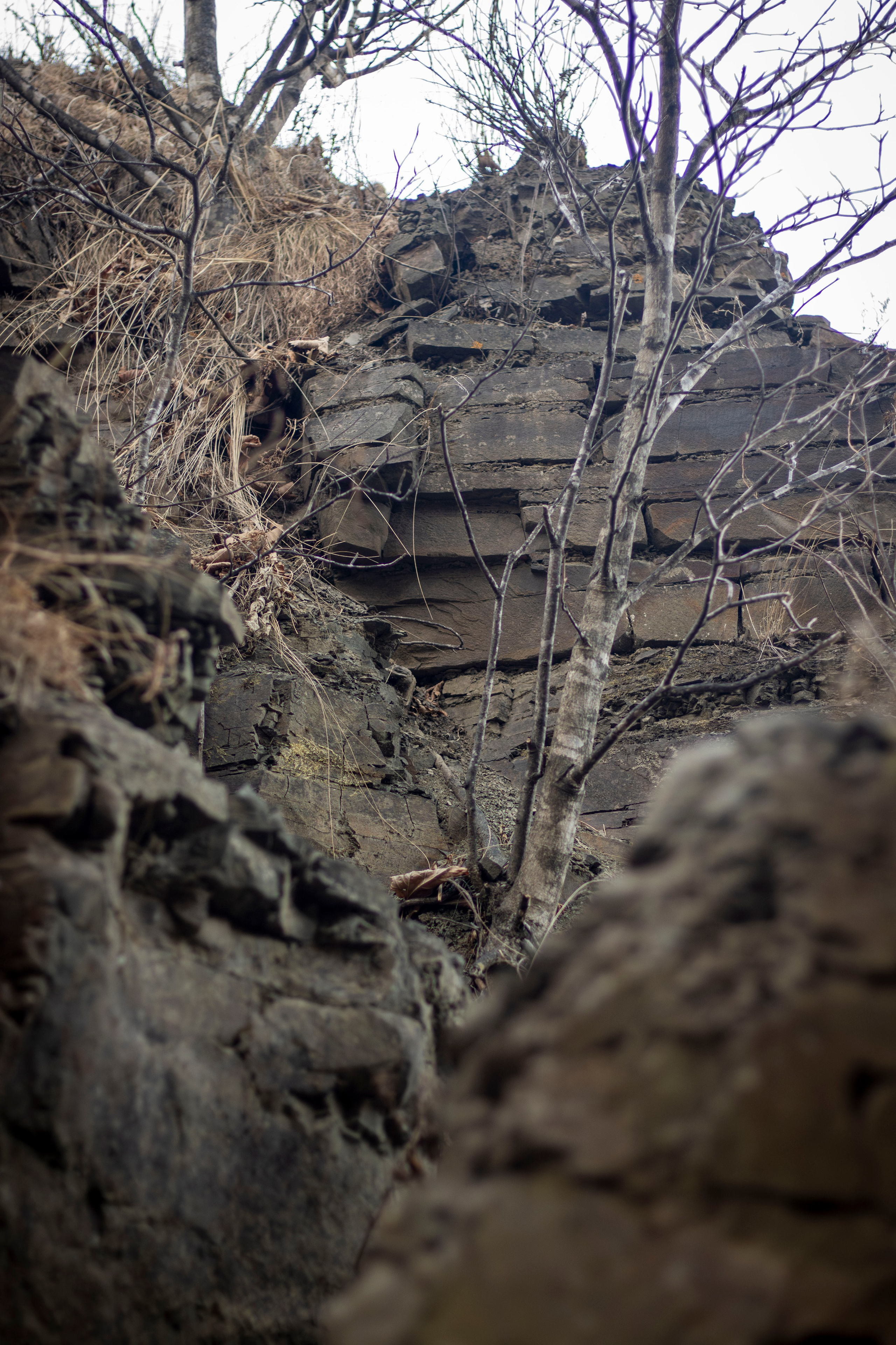 Пейзажи и Природа. Фотограф г. Владивосток