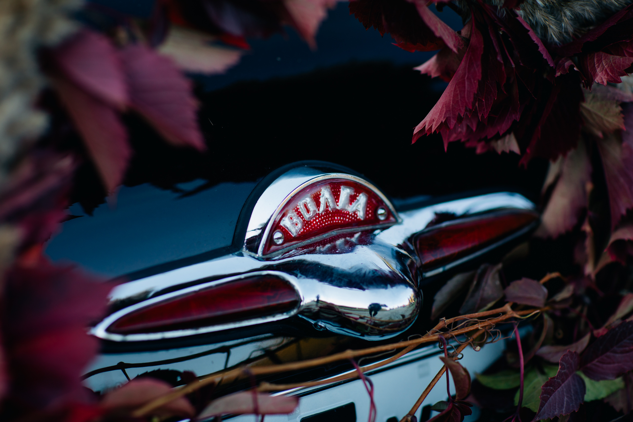 Spring for love. Фотограф Максим Маркелов