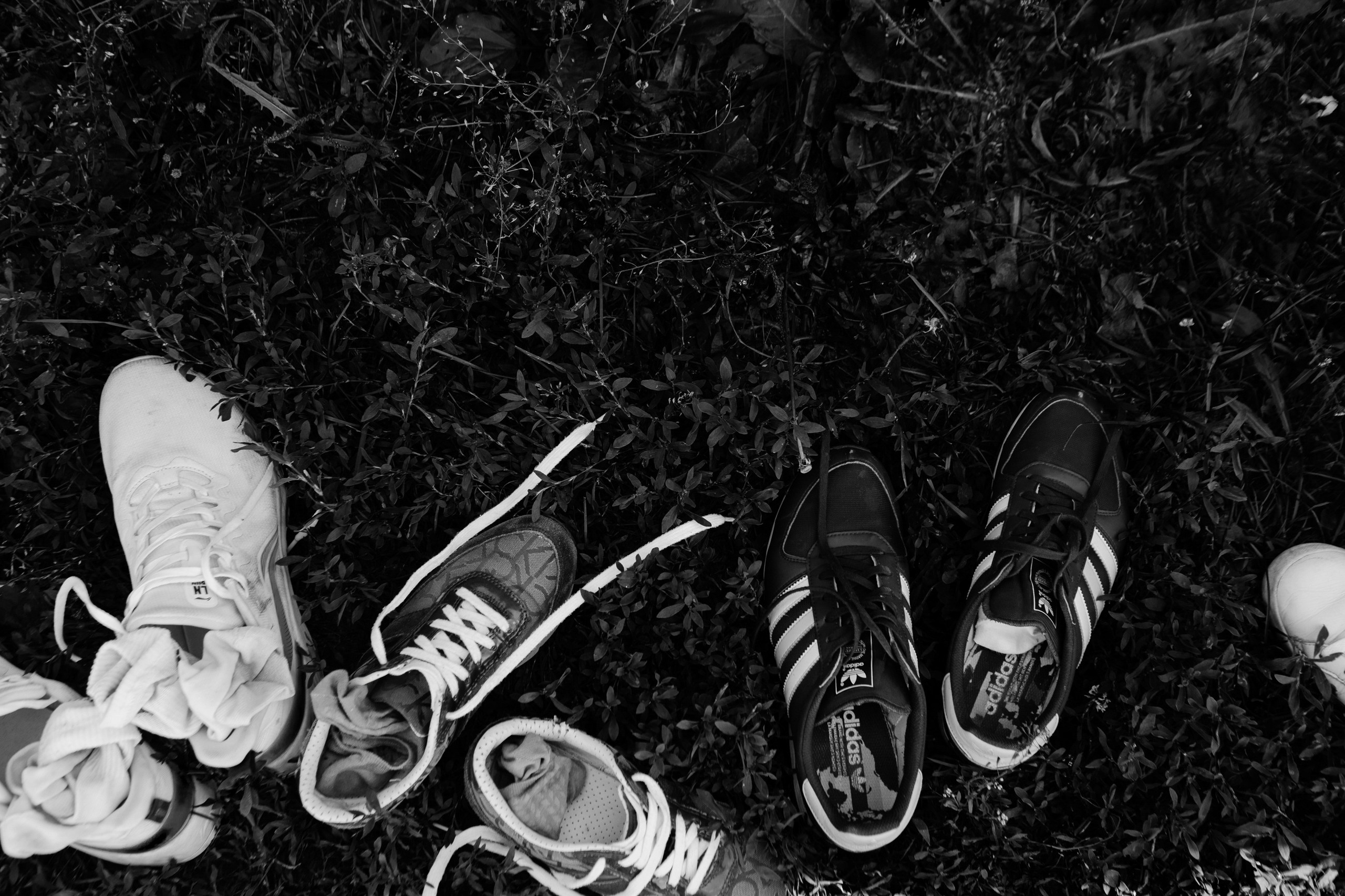 МС груп корпоратив. LEVORIGINAL