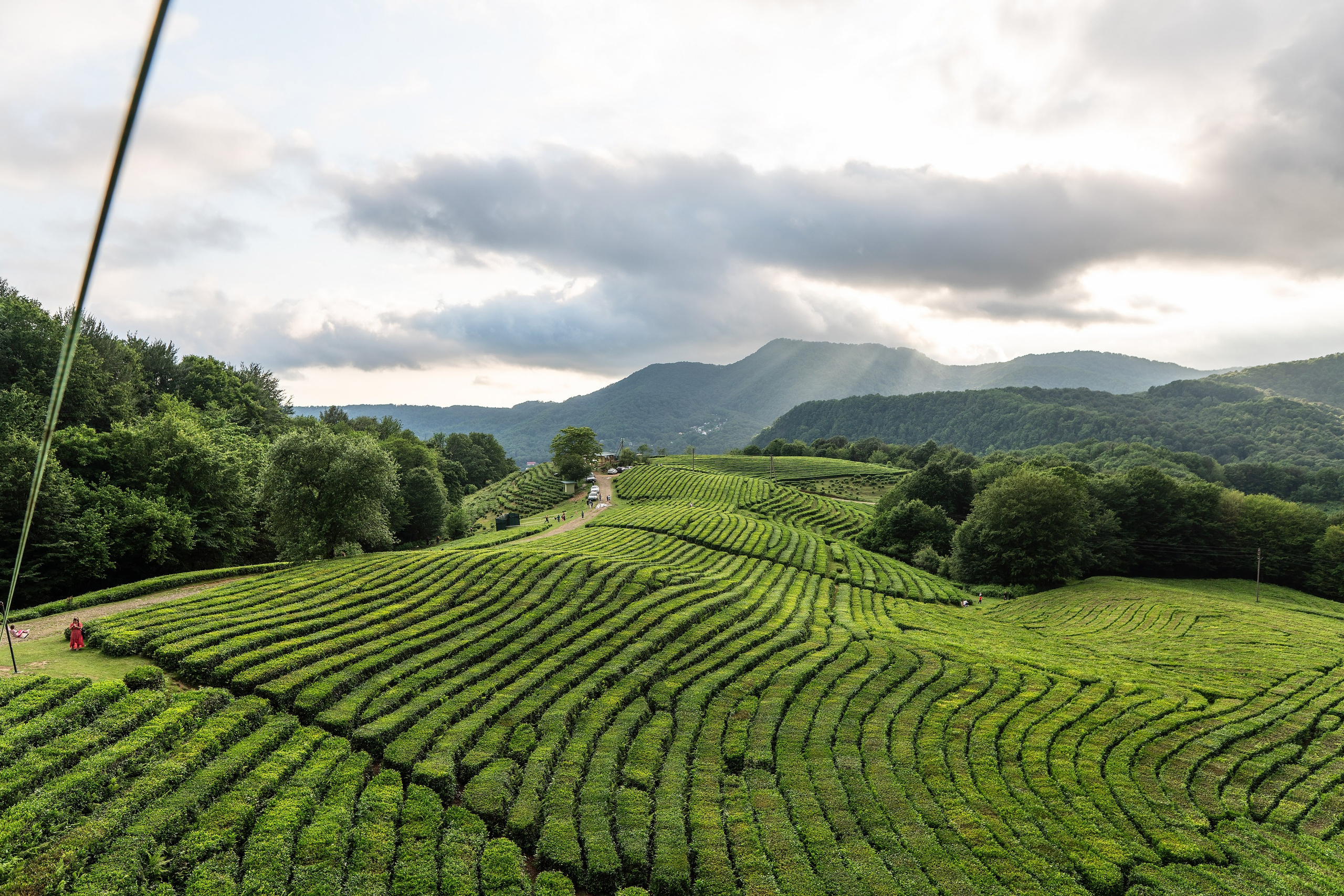 Фотограф на праздник Сочи. Фотограф Сочи