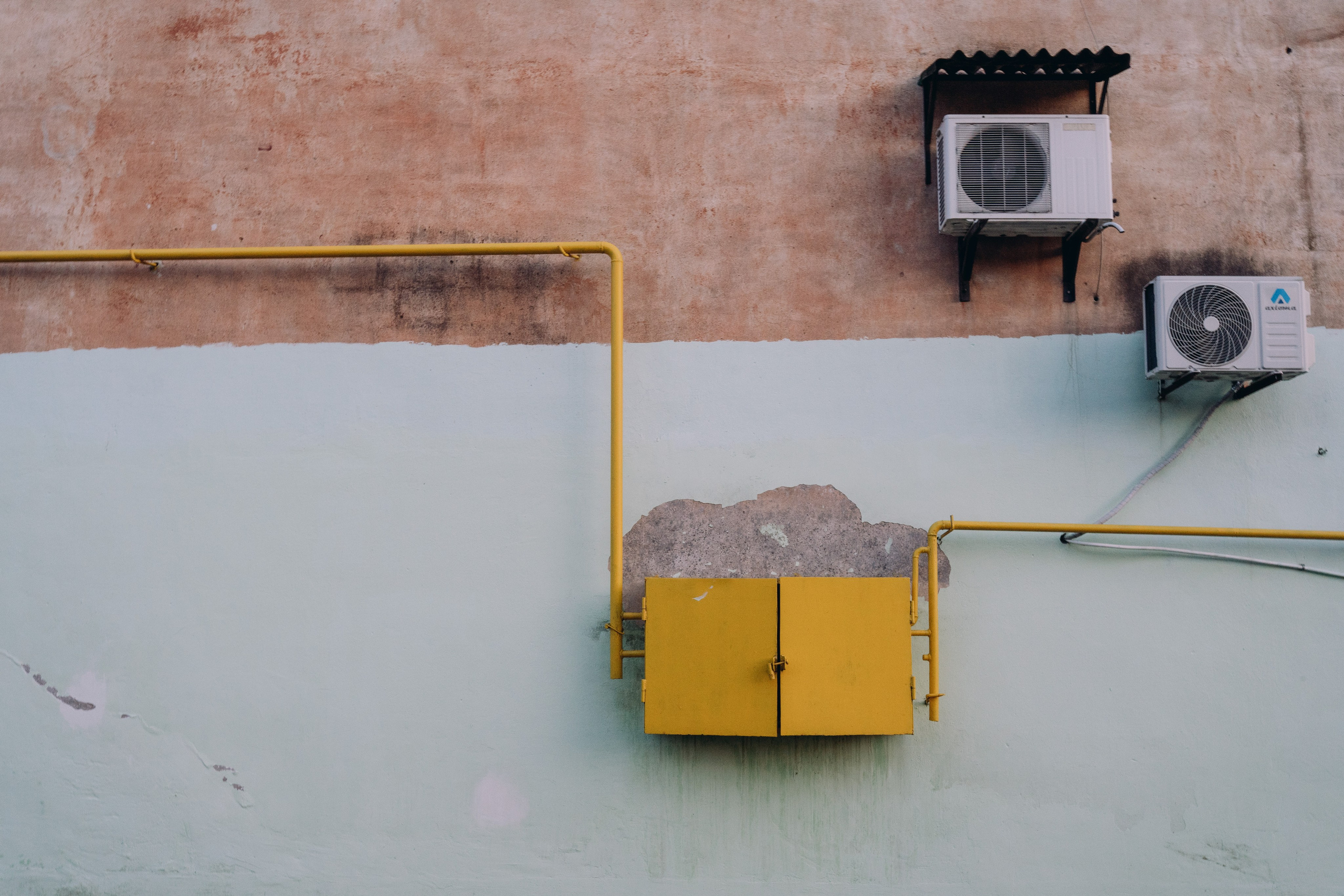 Полина Трель