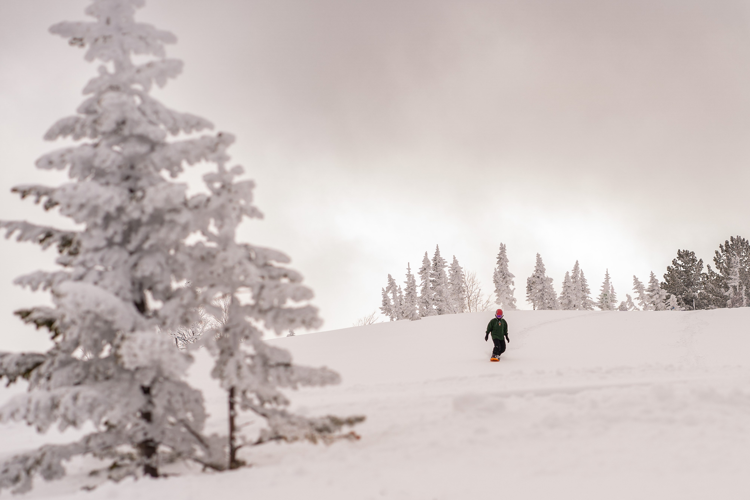 Фрирайд. Анастасия Паршукова — фотограф Шерегеш Новосибирск