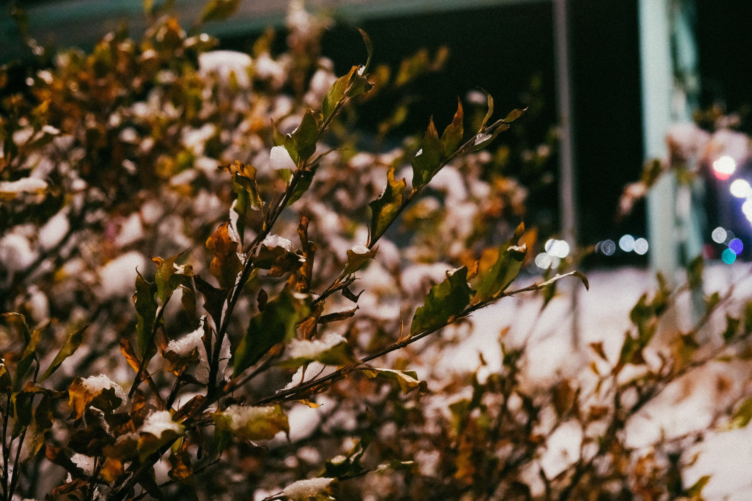 Пейзажи. Фотография и видео г. Анадырь Ильнур Шакиров