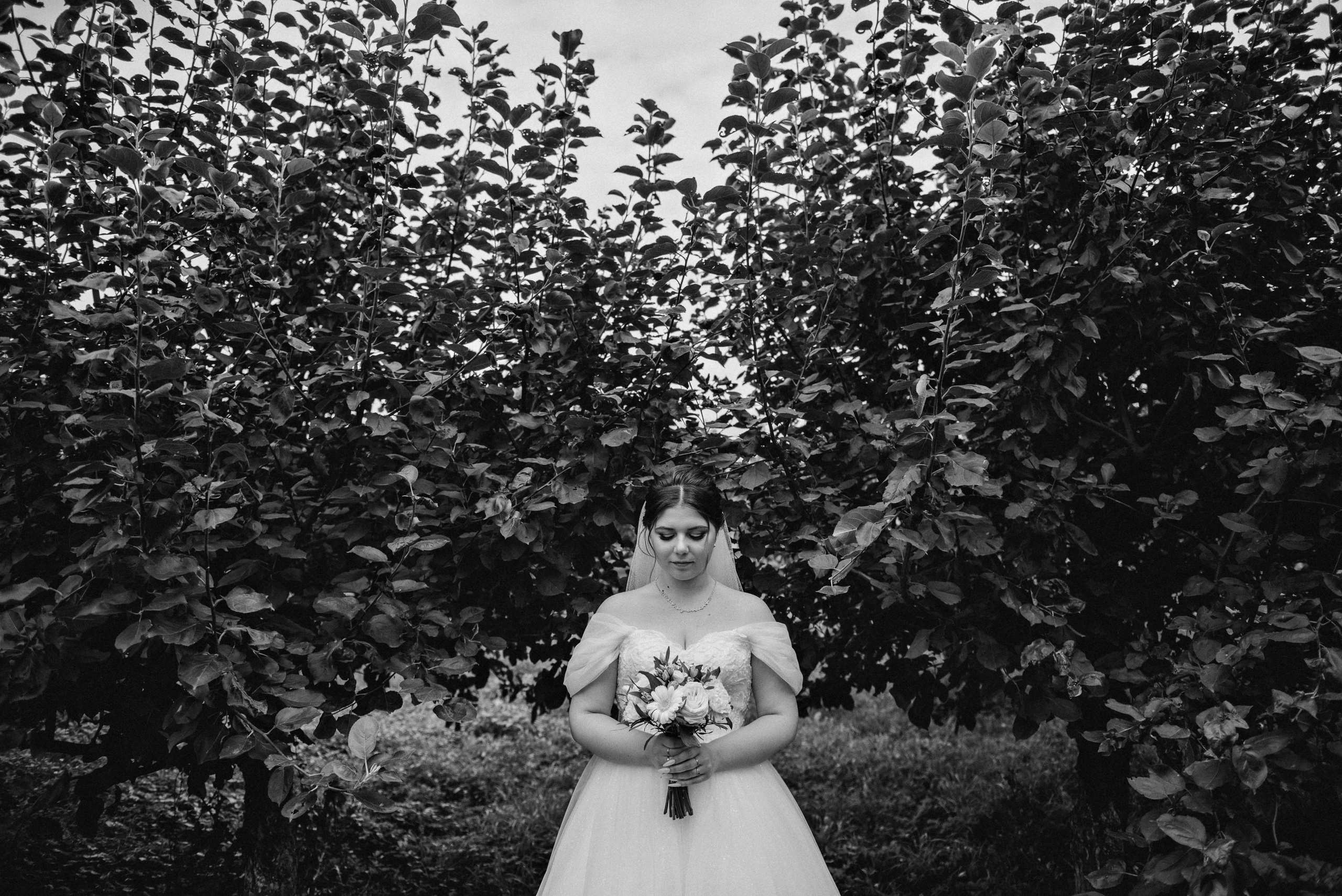 Андрей и Анжелика. Свадебный фотограф в Тамбове и области