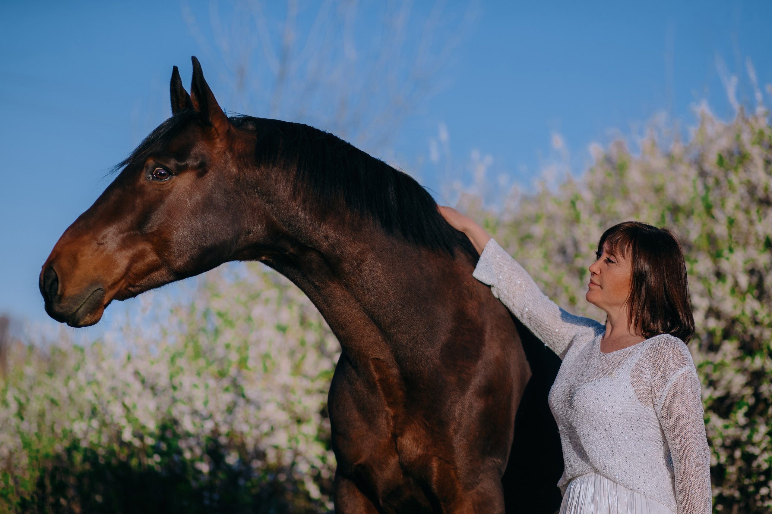 Лена и Сархан. Фотограф-анималист Ксендзова Кристина