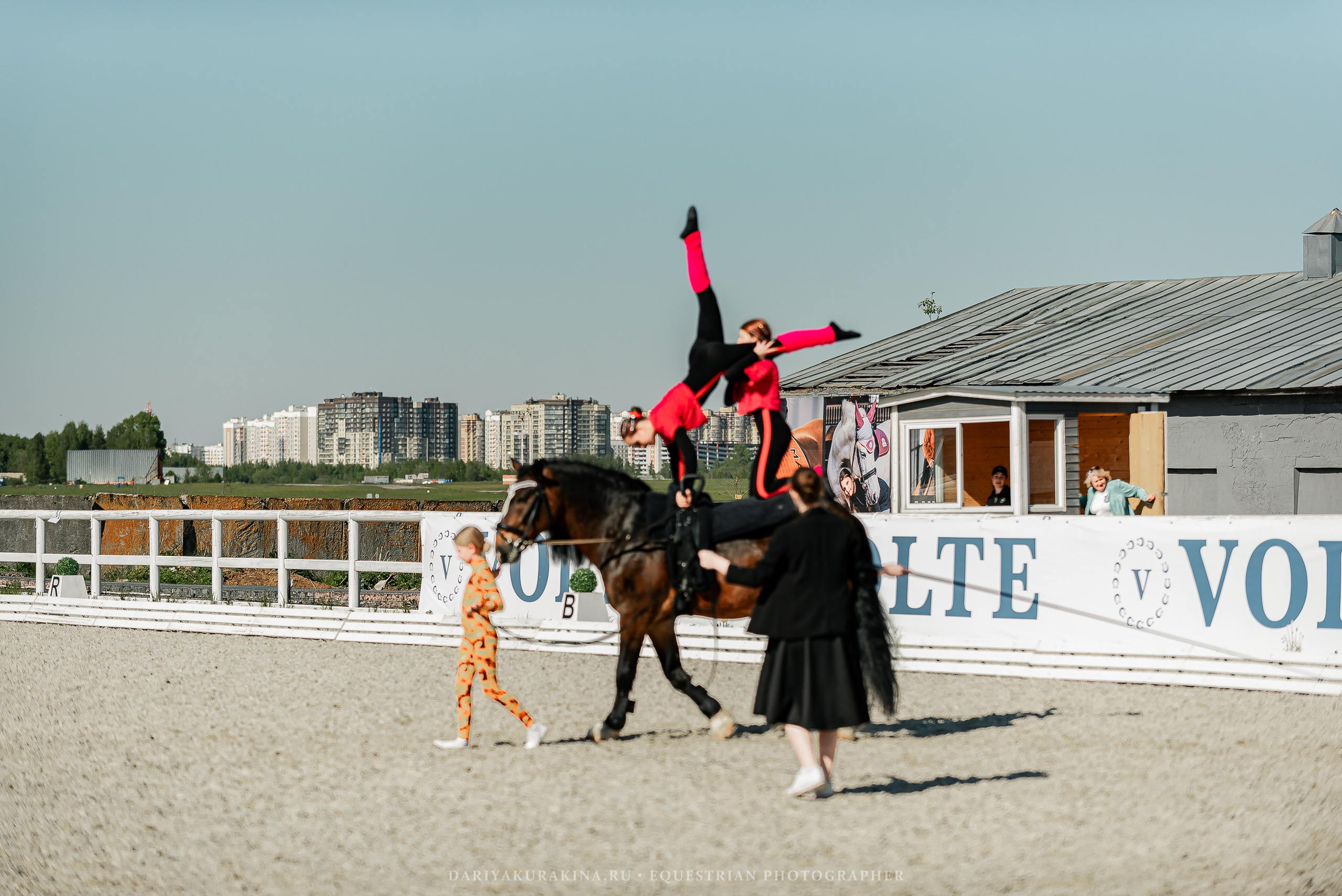 РЕПОРТАЖ МКК ВОЛЬТ «LA TULIPS». Конный фотограф Куракина Дарья • Фотосессии с лошадьми