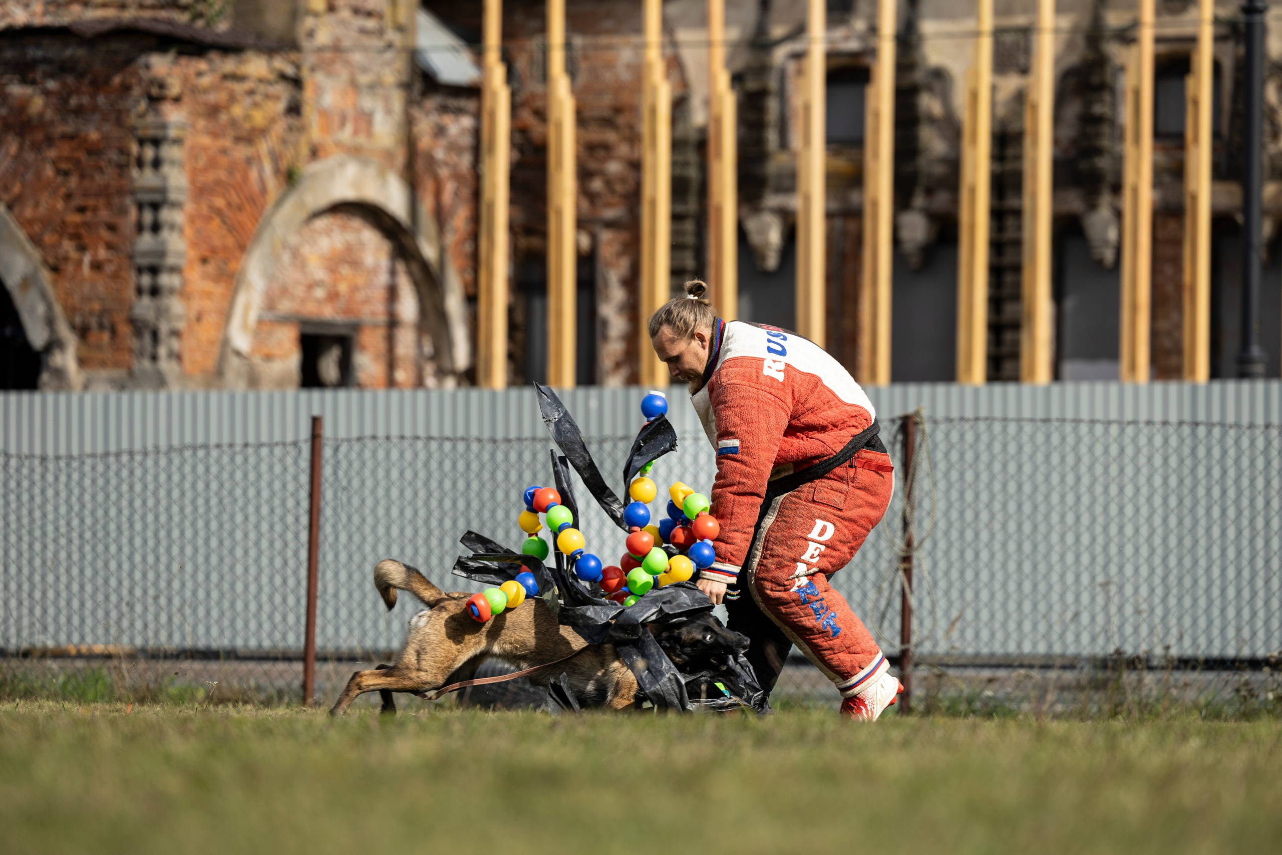 Испытания по Мондьорингу г. Пушкин. Фотограф-анималист Анна Маринич