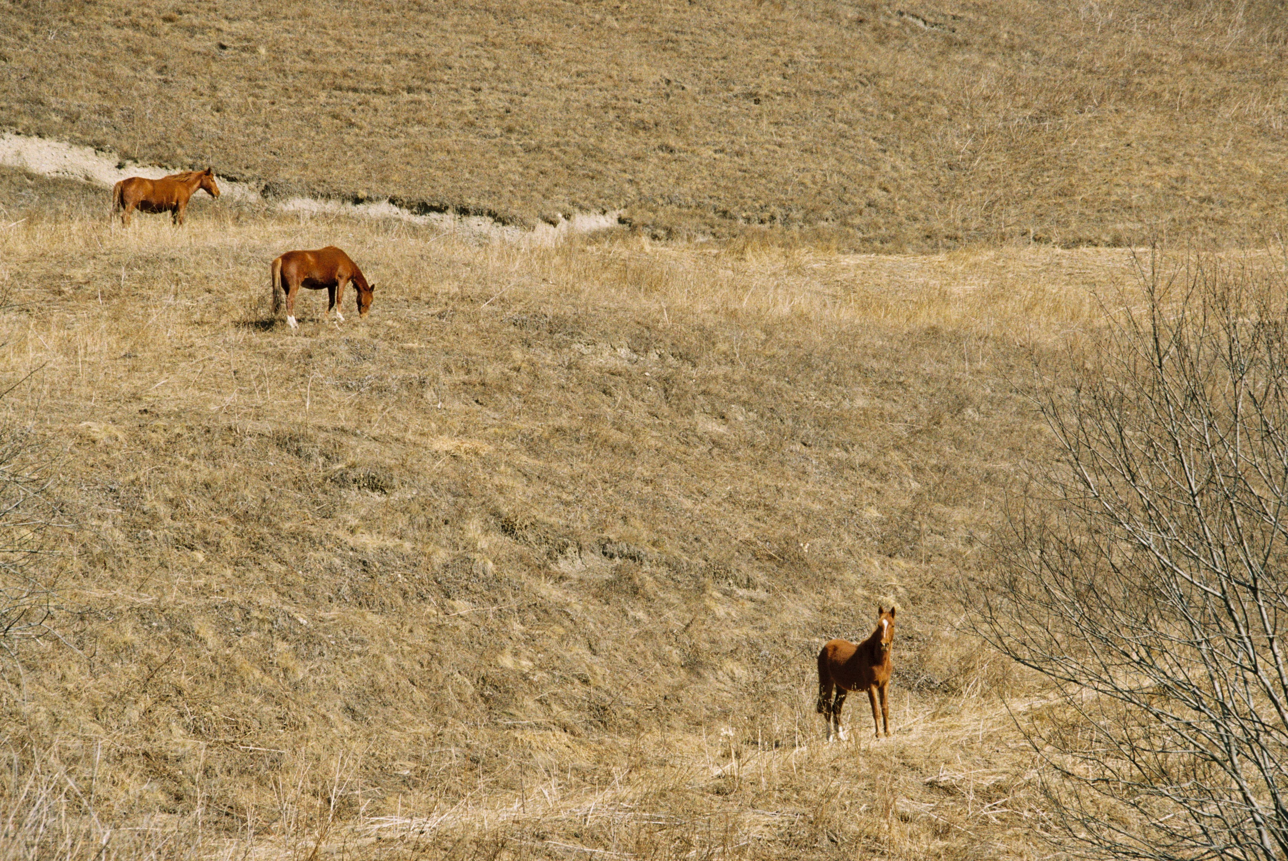 Фотографии Северной Осетии | Филипп Линзин. Репортажный и портретный фотограф в Санкт-Петербурге Филипп Линзин