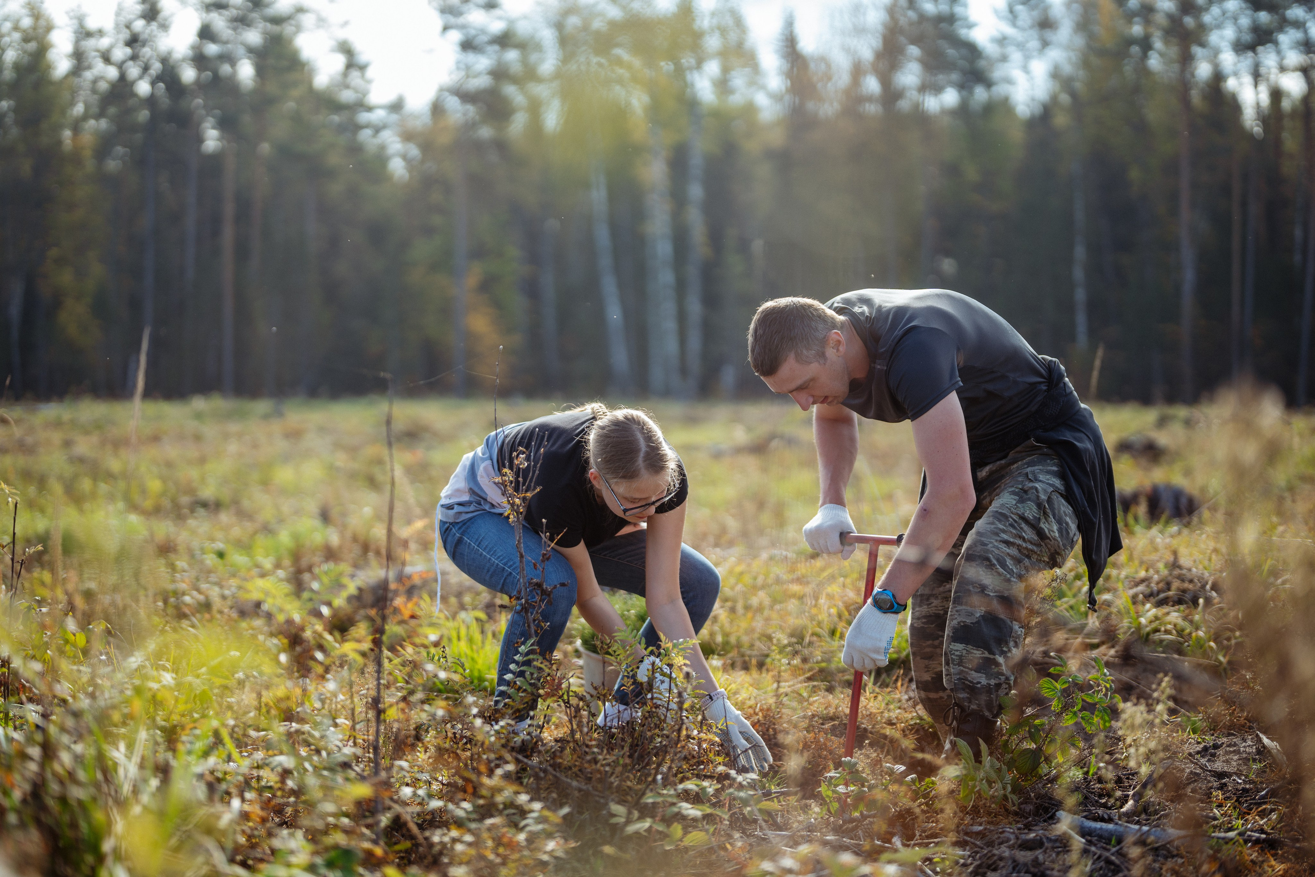 СБЕР · ЭКА · Посадка сеянцев. Владимир Вершинин, тот самый свадебный видеограф