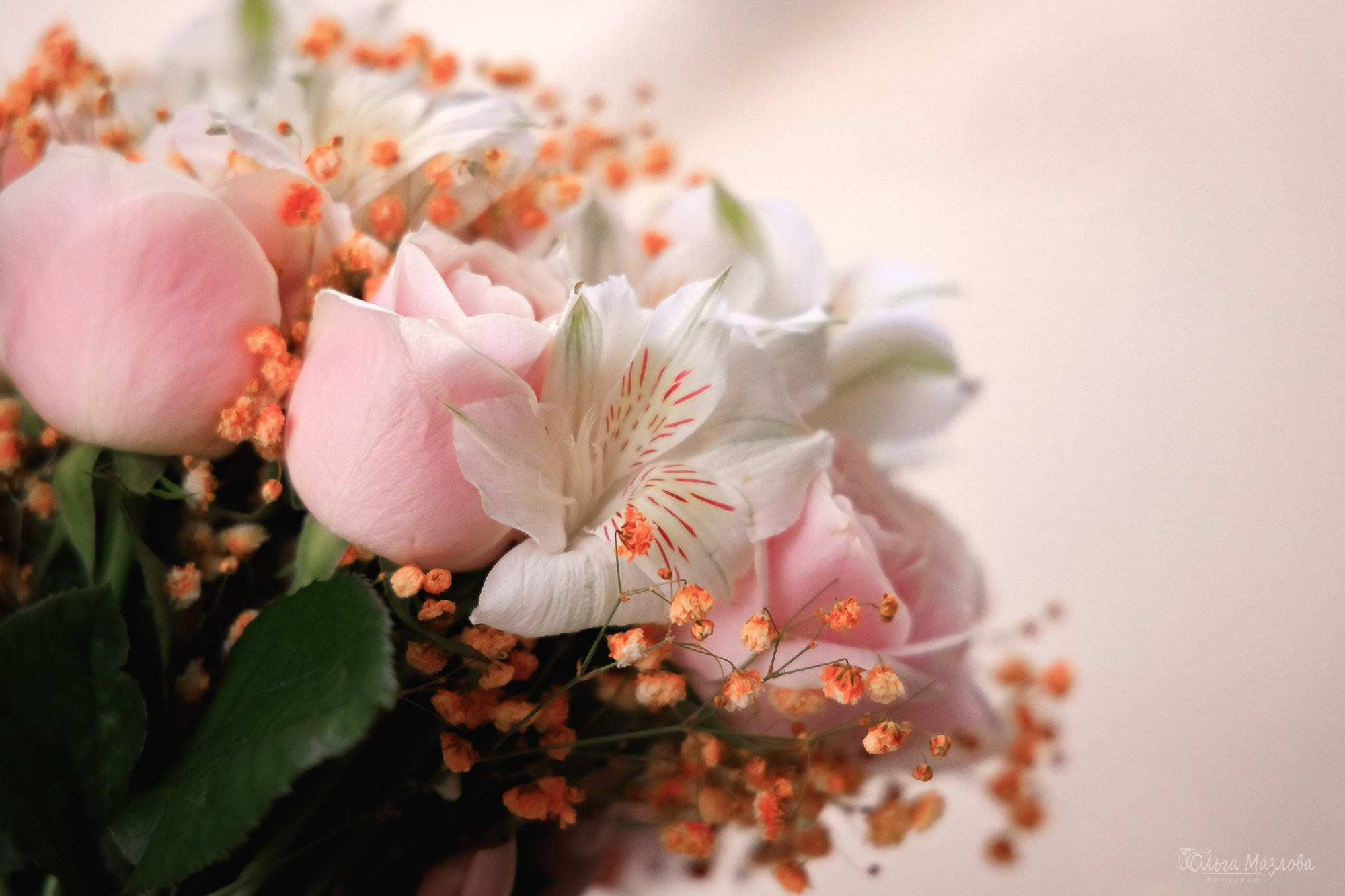 Свадебная фотосессия, Виктория и Мирас. Фотограф в Саратове Ольга Мазлова